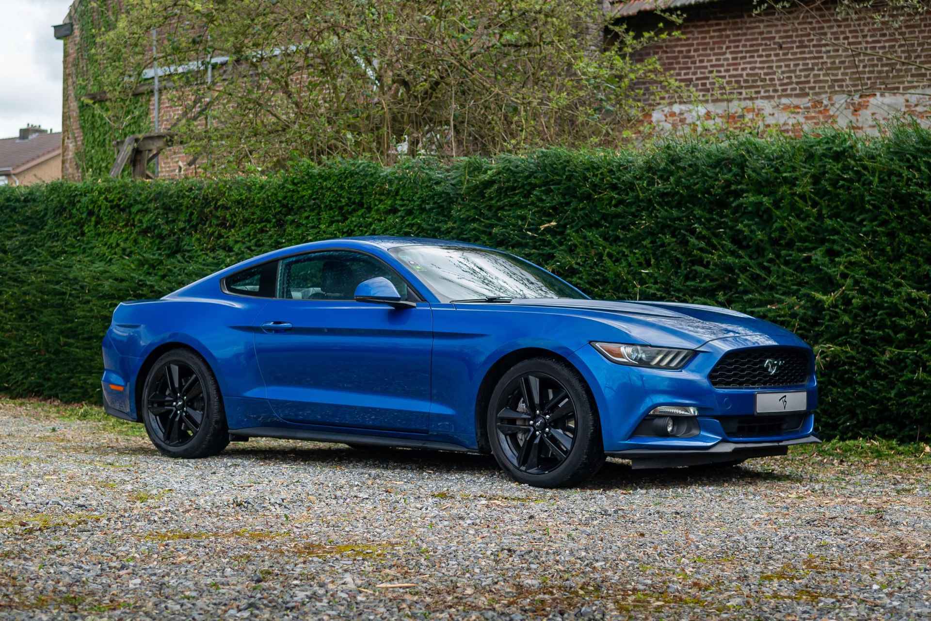 Ford Mustang Fastback 2.3 EcoBoost 317pk *Sportuitl-Camera-Carplay - 20/24