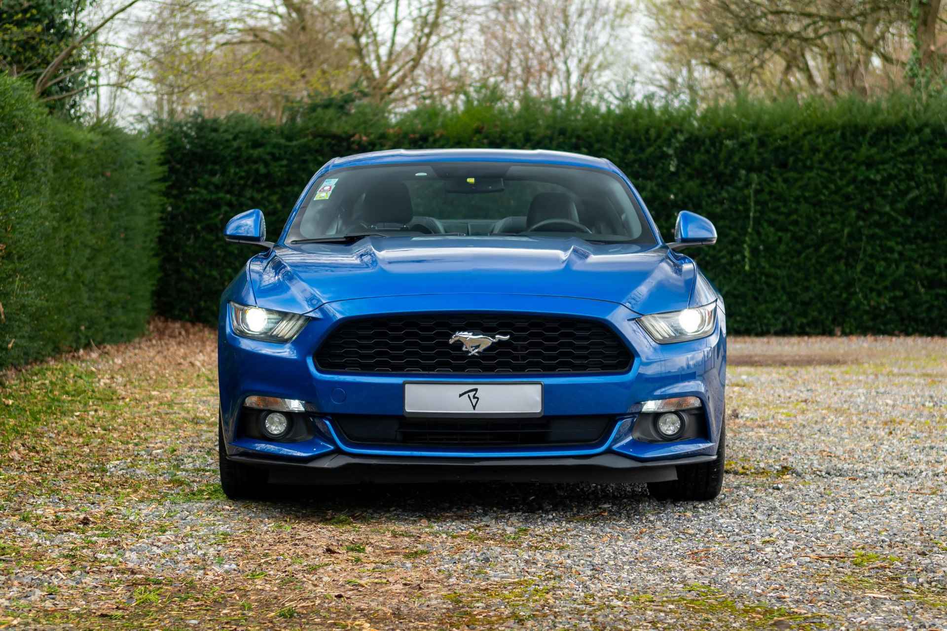 Ford Mustang Fastback 2.3 EcoBoost 317pk *Sportuitl-Camera-Carplay - 22/24