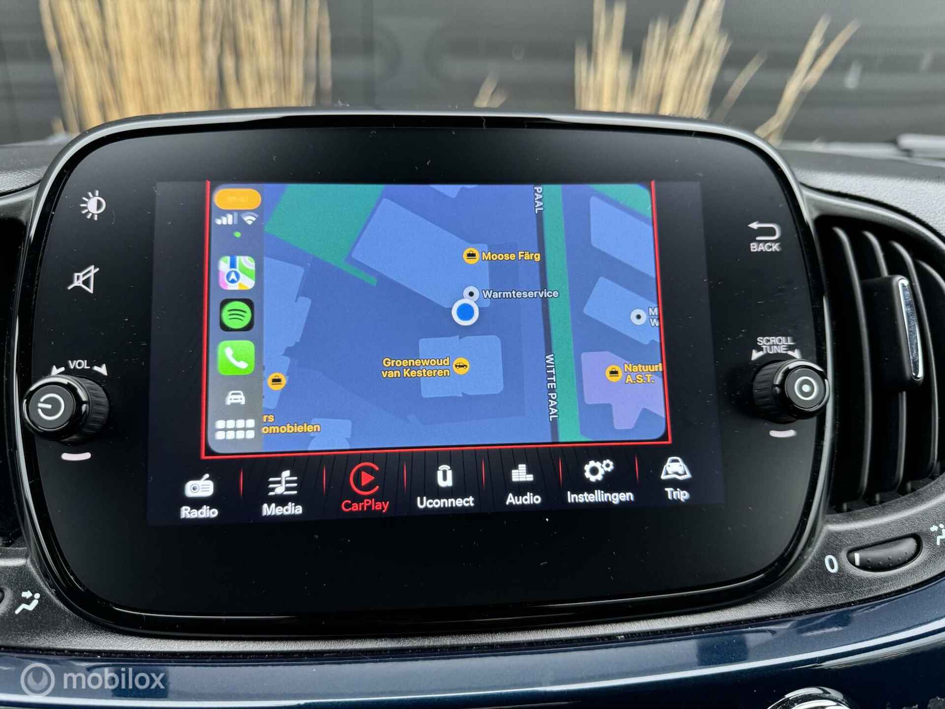 Fiat 500 1.0 Hybrid Club I Carplay I Clima I Cruise I - 10/20