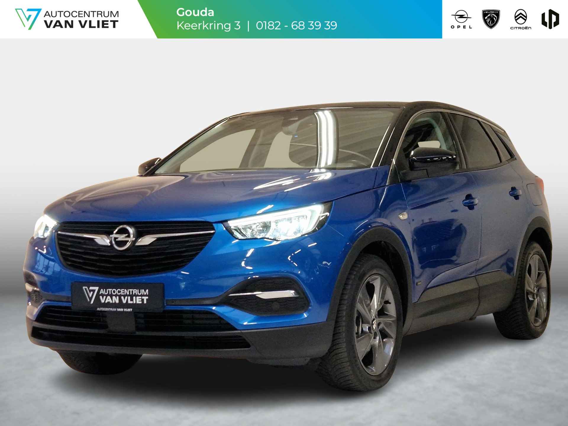 Opel Grandland X BOVAG 40-Puntencheck