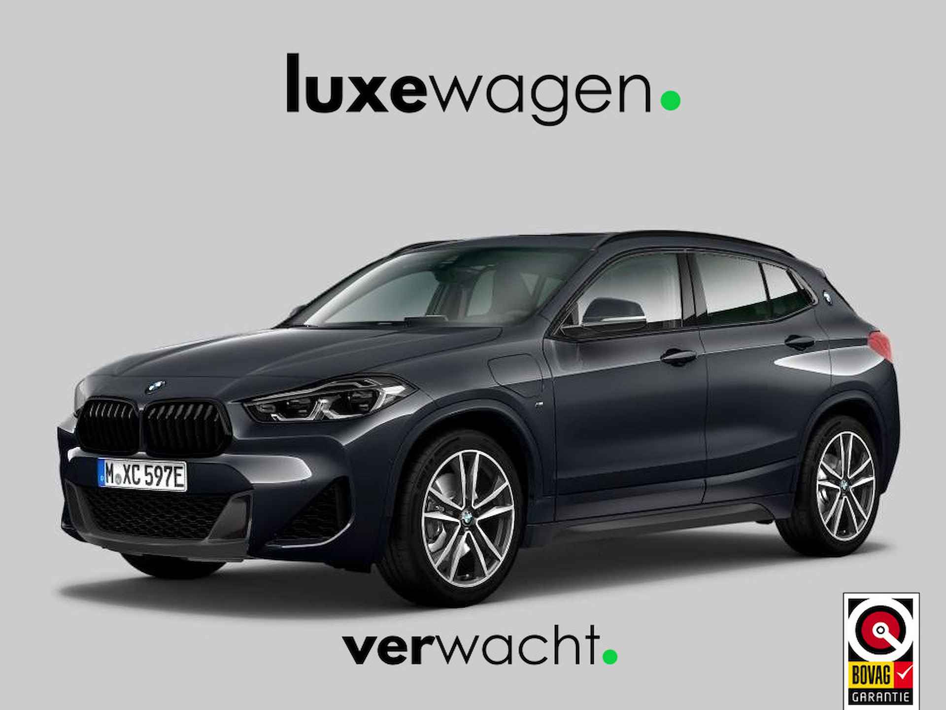 BMW X2 BOVAG 40-Puntencheck