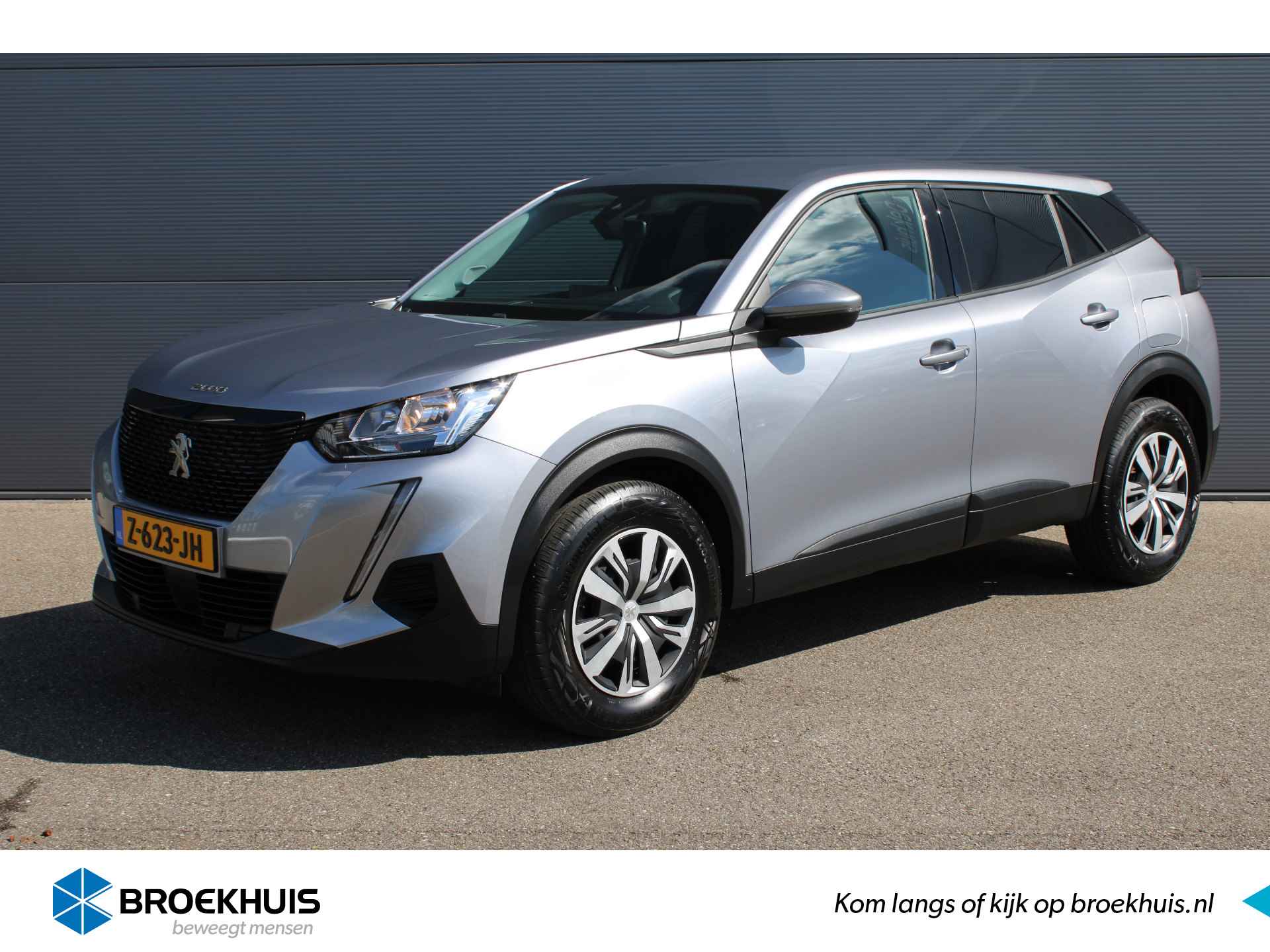 Peugeot 2008 BOVAG 40-Puntencheck