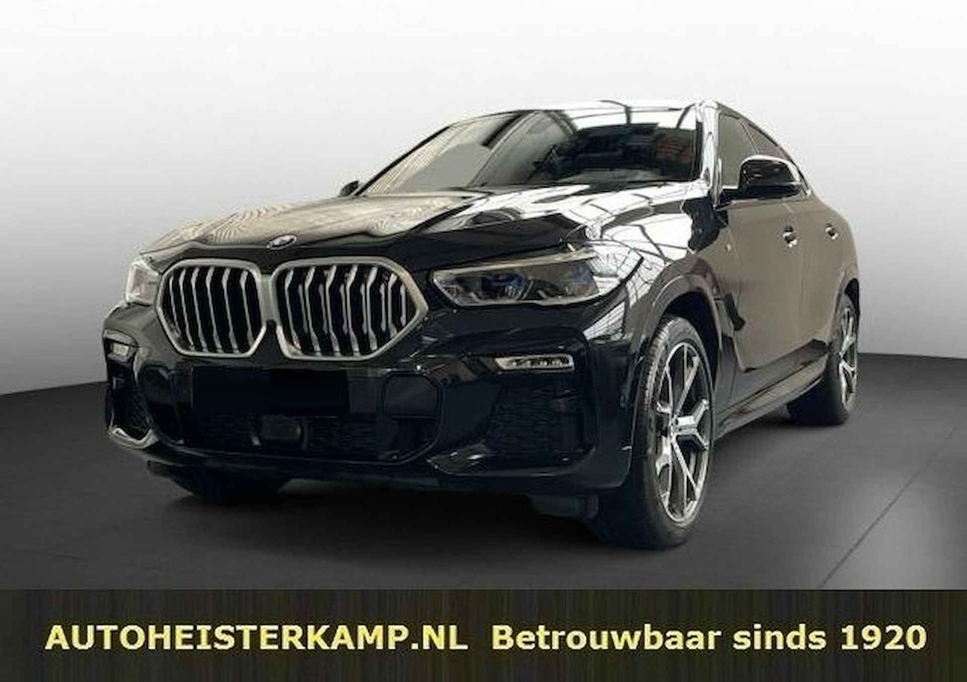 BMW X6 xDrive30d 286 PK M-Sport Panoramadak Head-Up Keyless-Go 21 Inch - 1/19