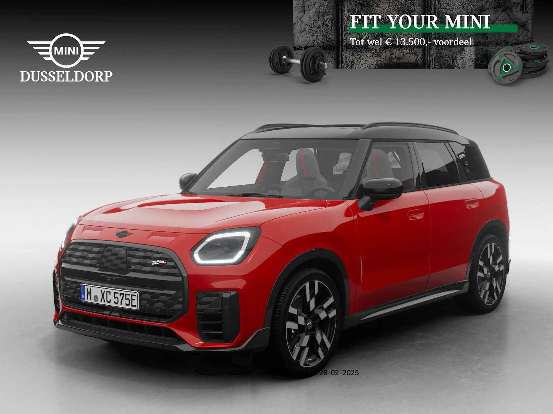 Mini Countryman