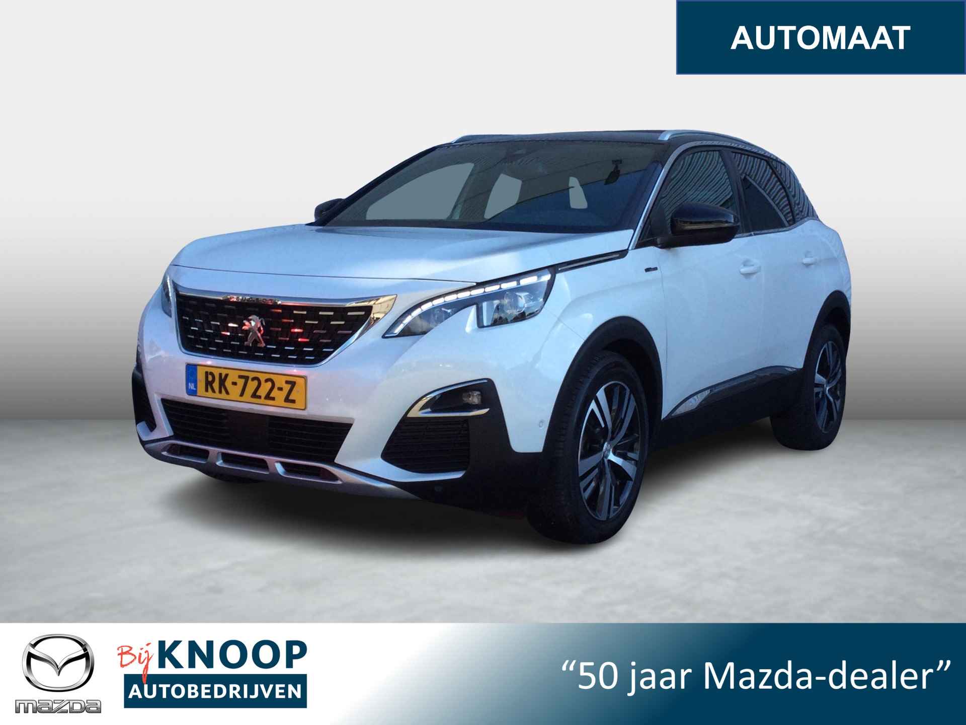 Peugeot 3008 BOVAG 40-Puntencheck