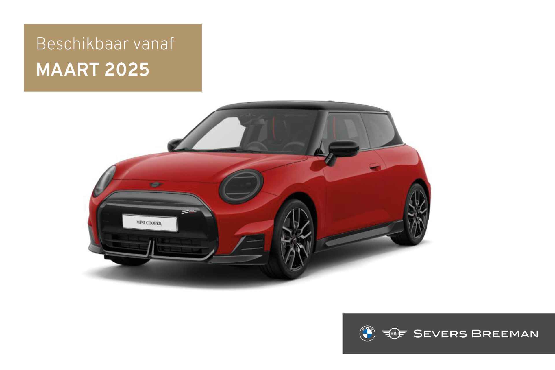 Mini Cooper BOVAG 40-Puntencheck