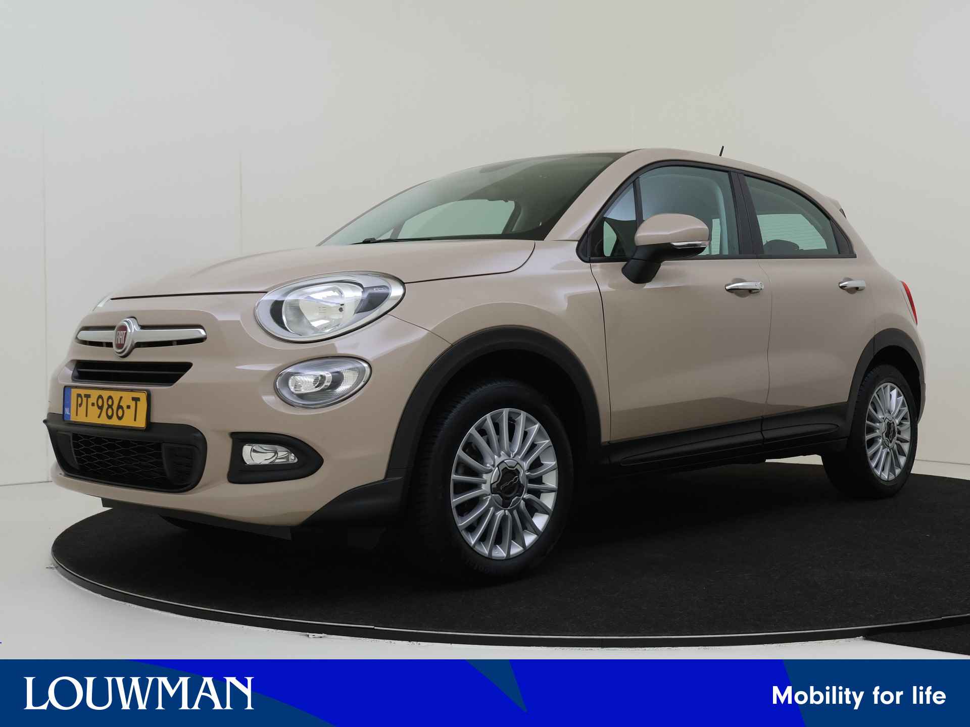 Fiat 500X BOVAG 40-Puntencheck