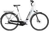 BESV CT 2.1 LS Dames steel grey 50cm M 2024