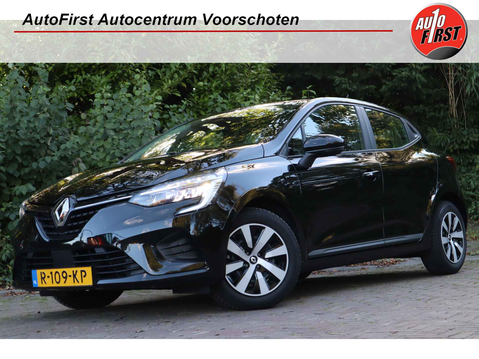 Renault Clio BOVAG 40-Puntencheck