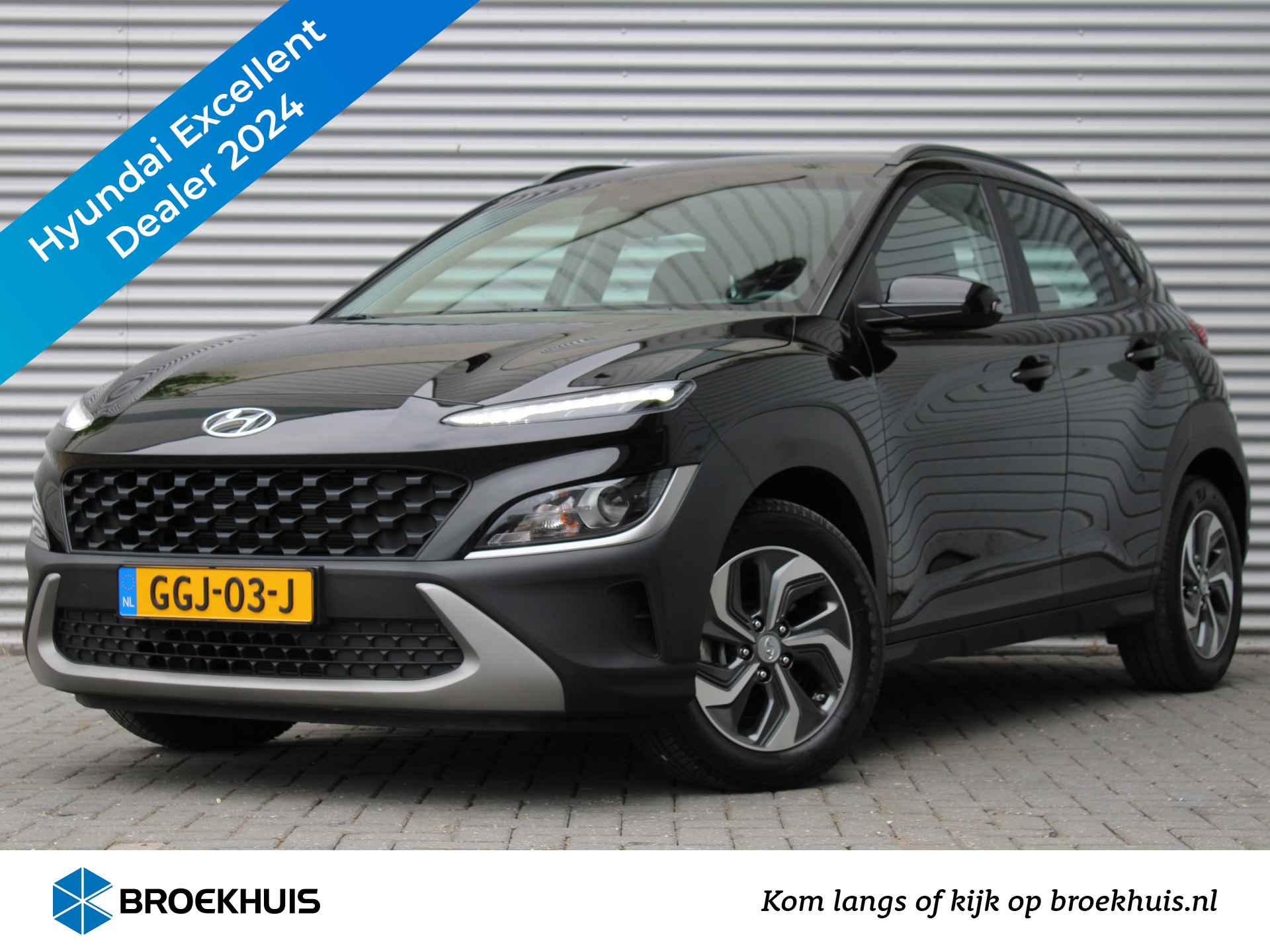 Hyundai Kona BOVAG 40-Puntencheck