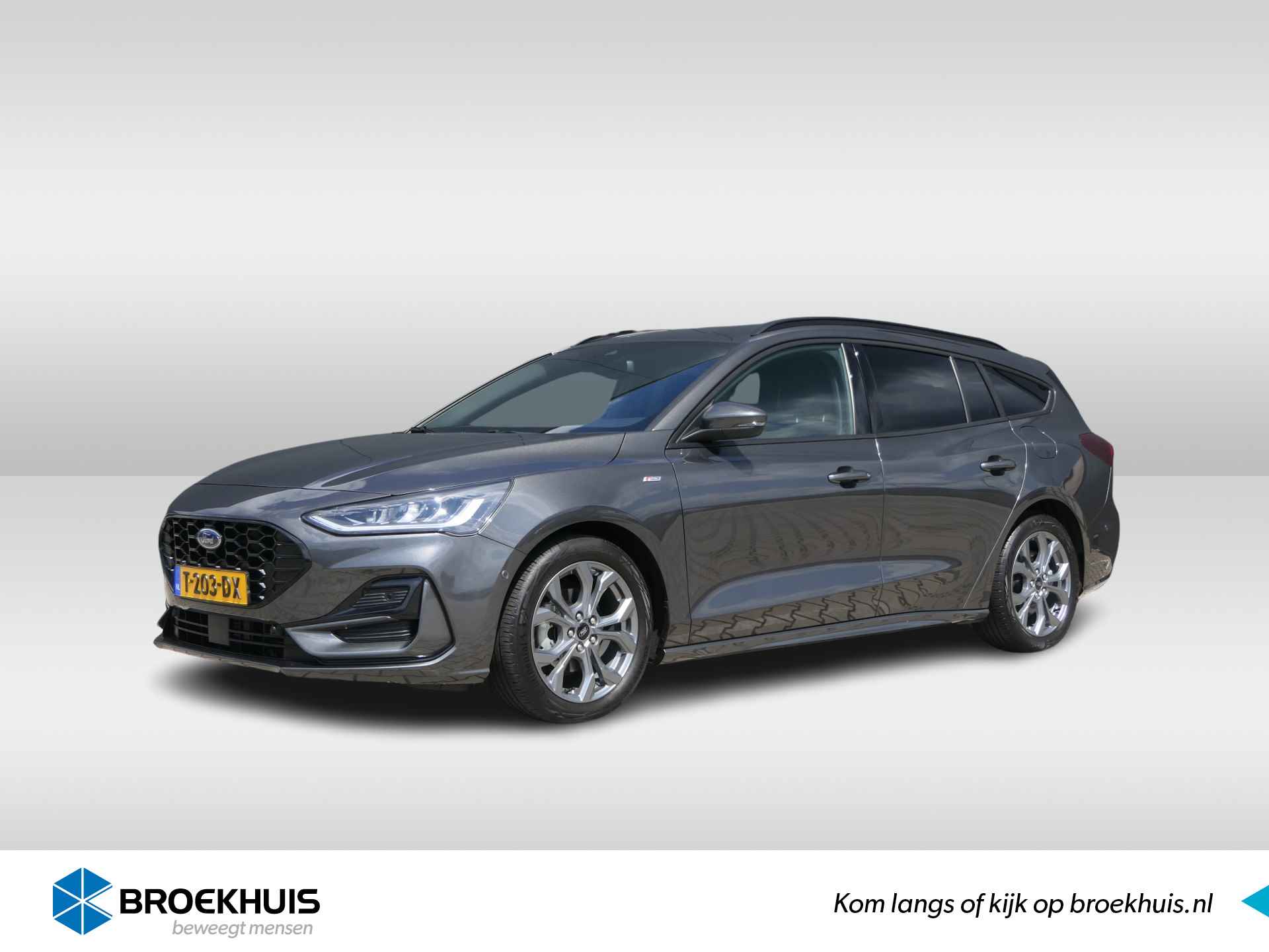 Ford Focus BOVAG 40-Puntencheck