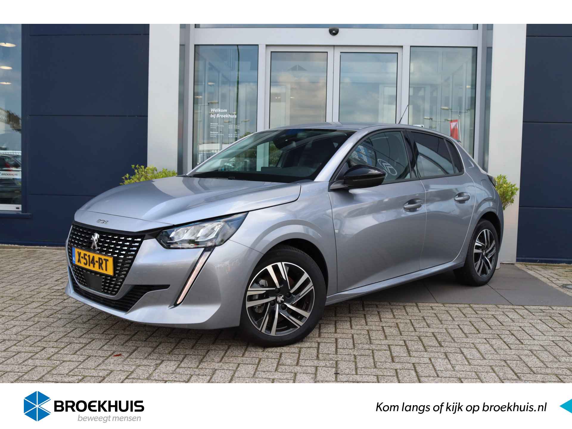 Peugeot 208 BOVAG 40-Puntencheck