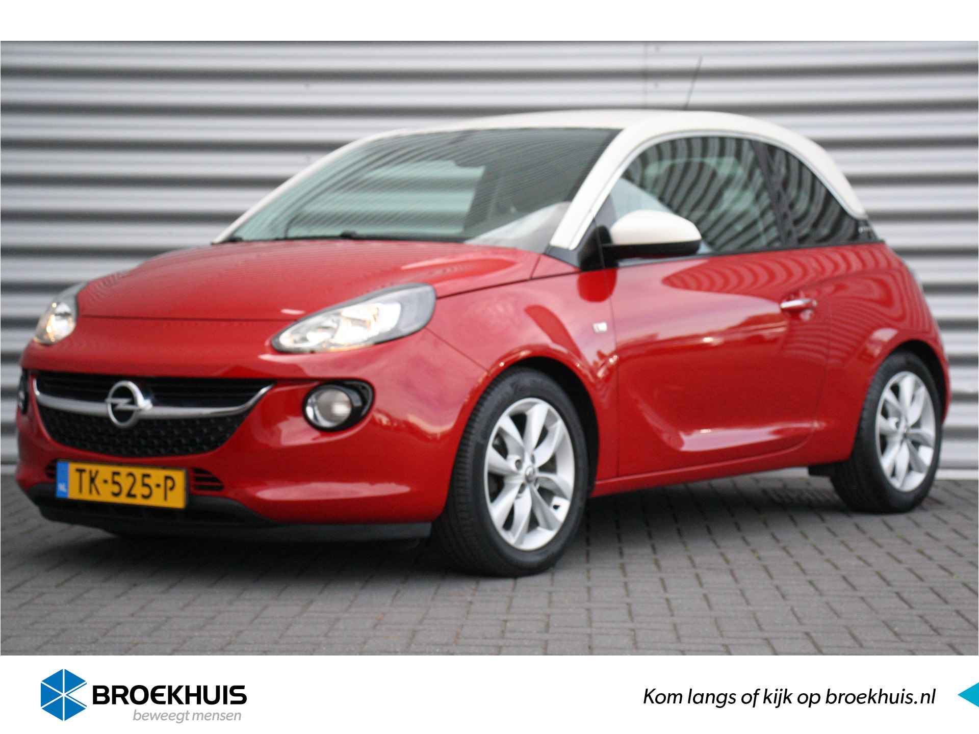 Opel Adam BOVAG 40-Puntencheck