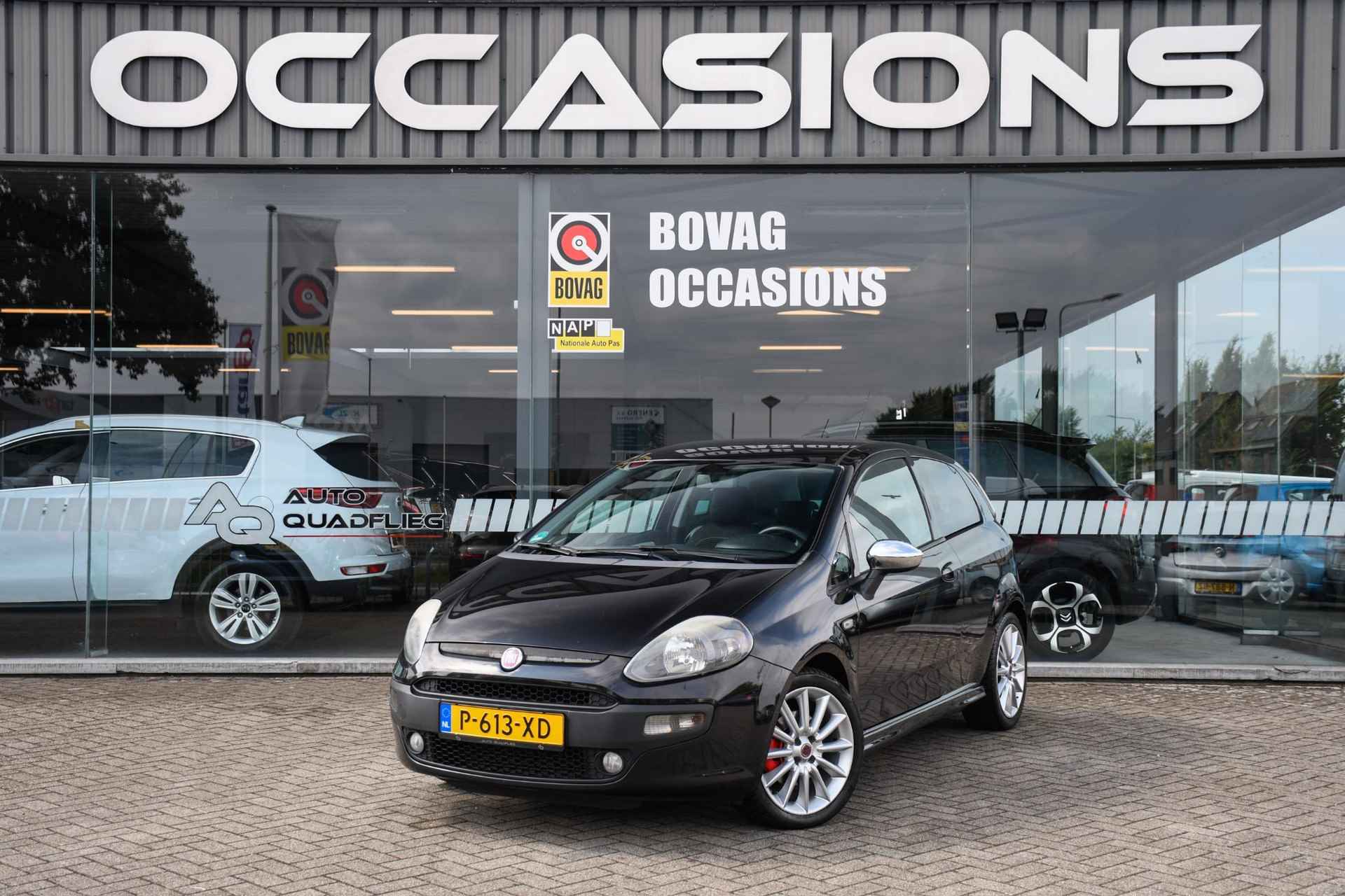 Fiat Punto BOVAG 40-Puntencheck