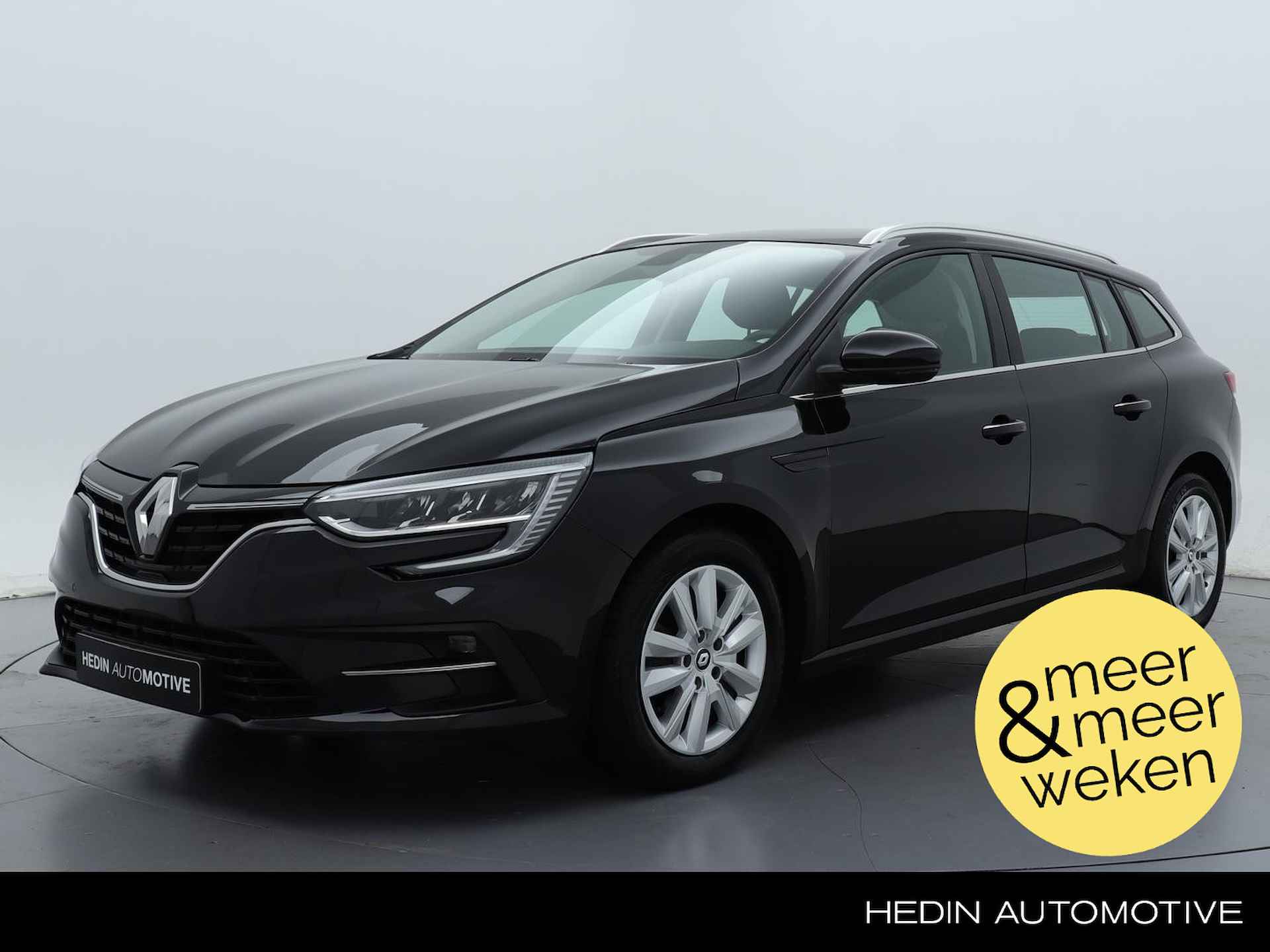 Renault Megane BOVAG 40-Puntencheck