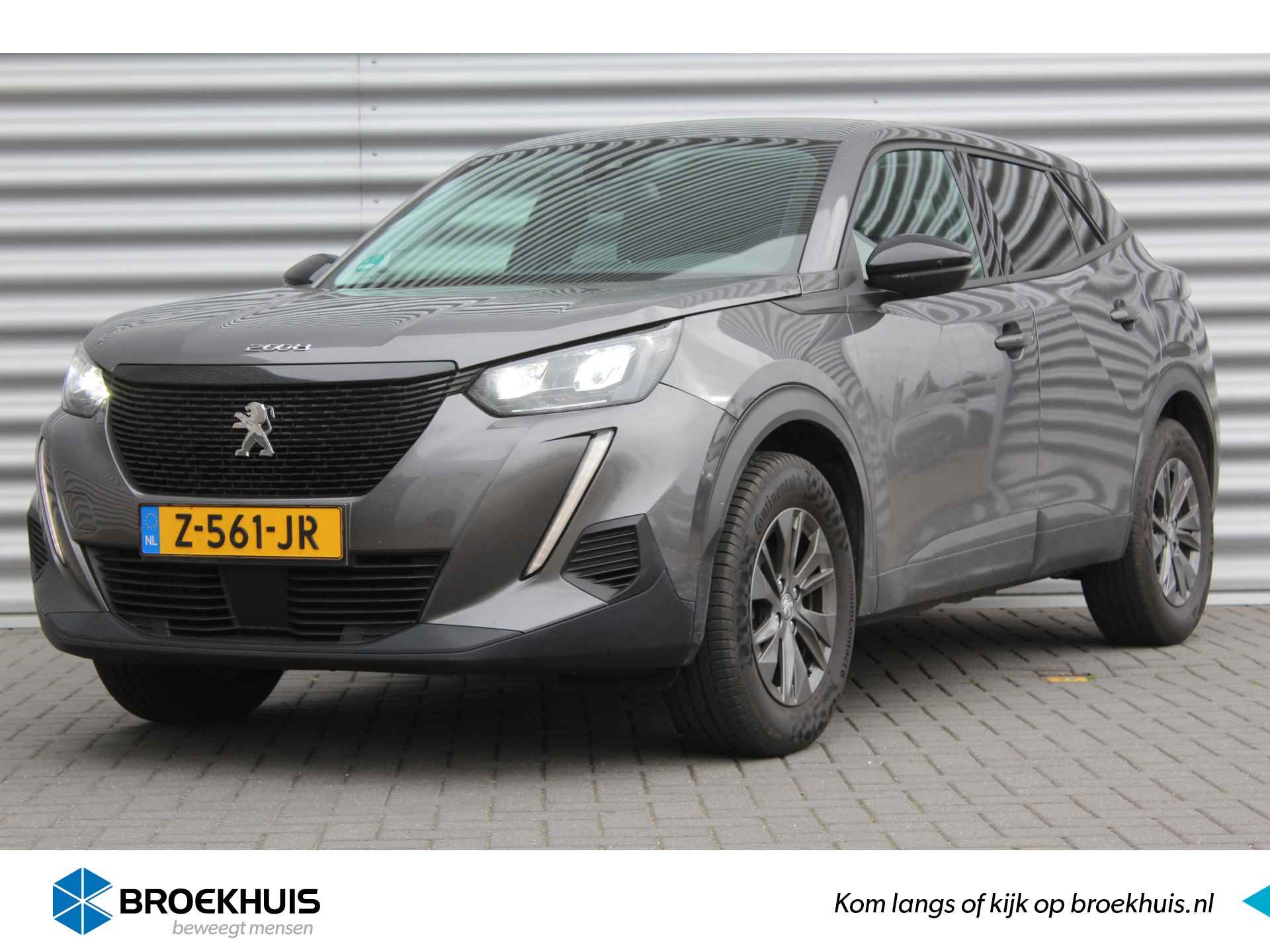 Peugeot 2008 BOVAG 40-Puntencheck