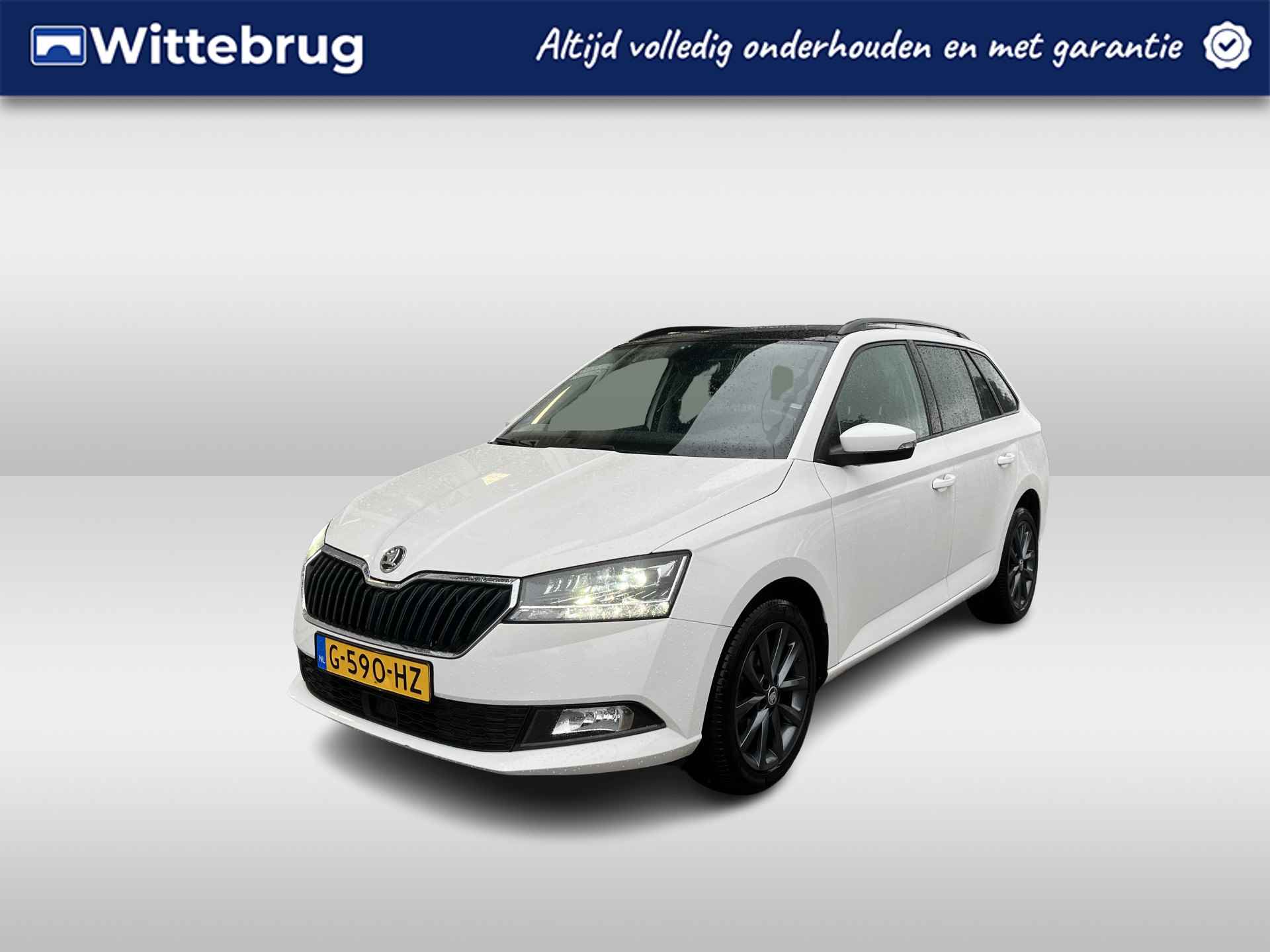 Škoda Fabia BOVAG 40-Puntencheck