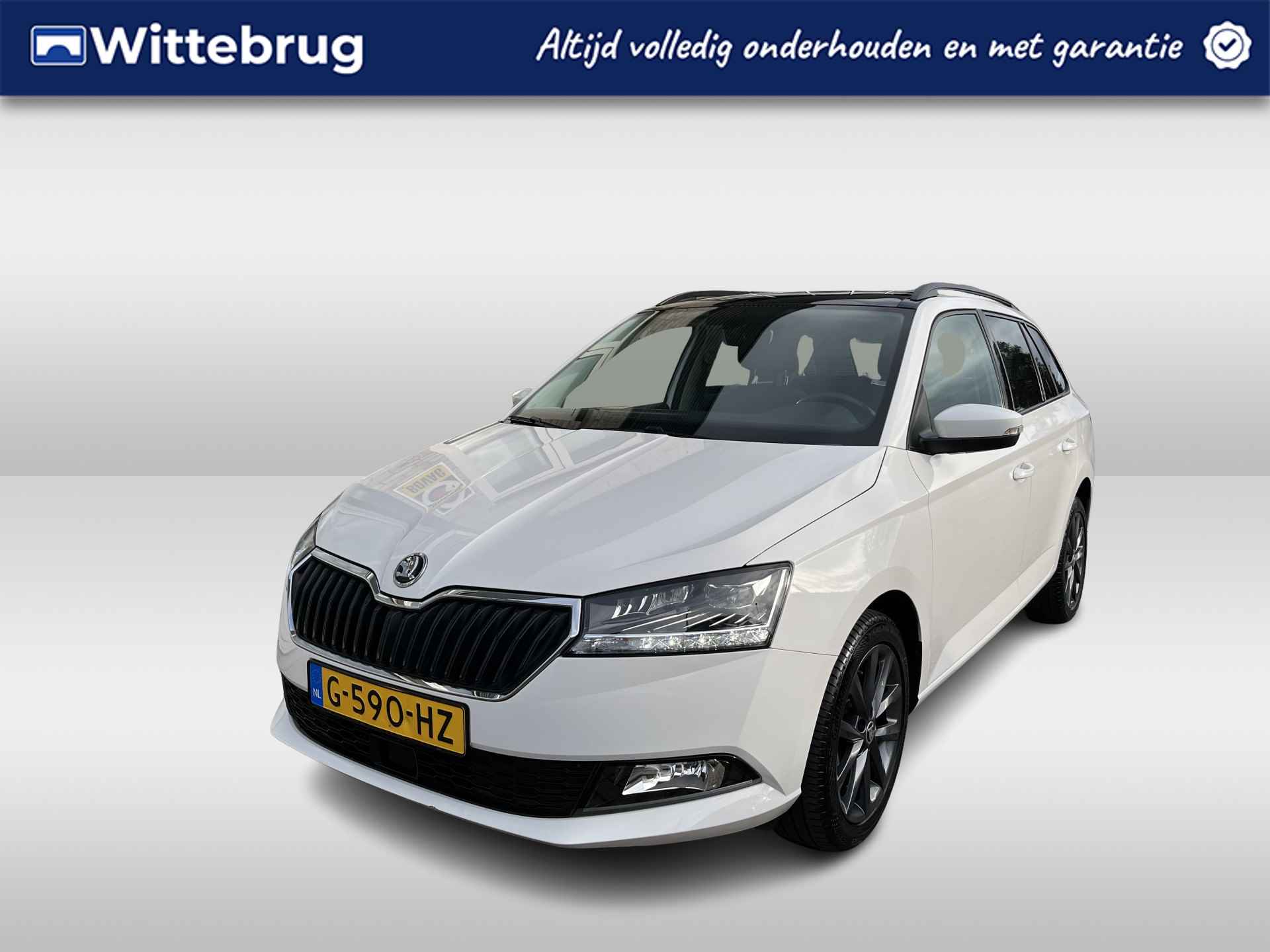 Škoda Fabia BOVAG 40-Puntencheck