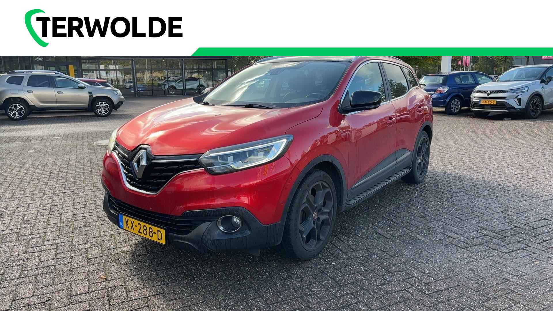 Renault Kadjar BOVAG 40-Puntencheck