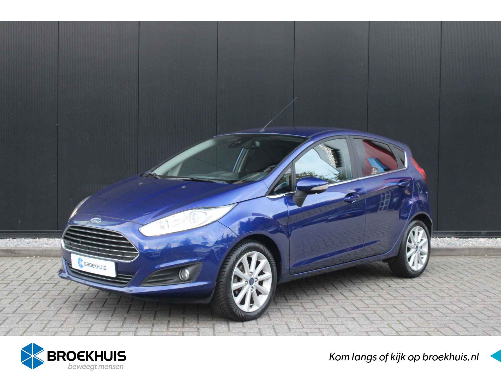 Ford Fiesta BOVAG 40-Puntencheck