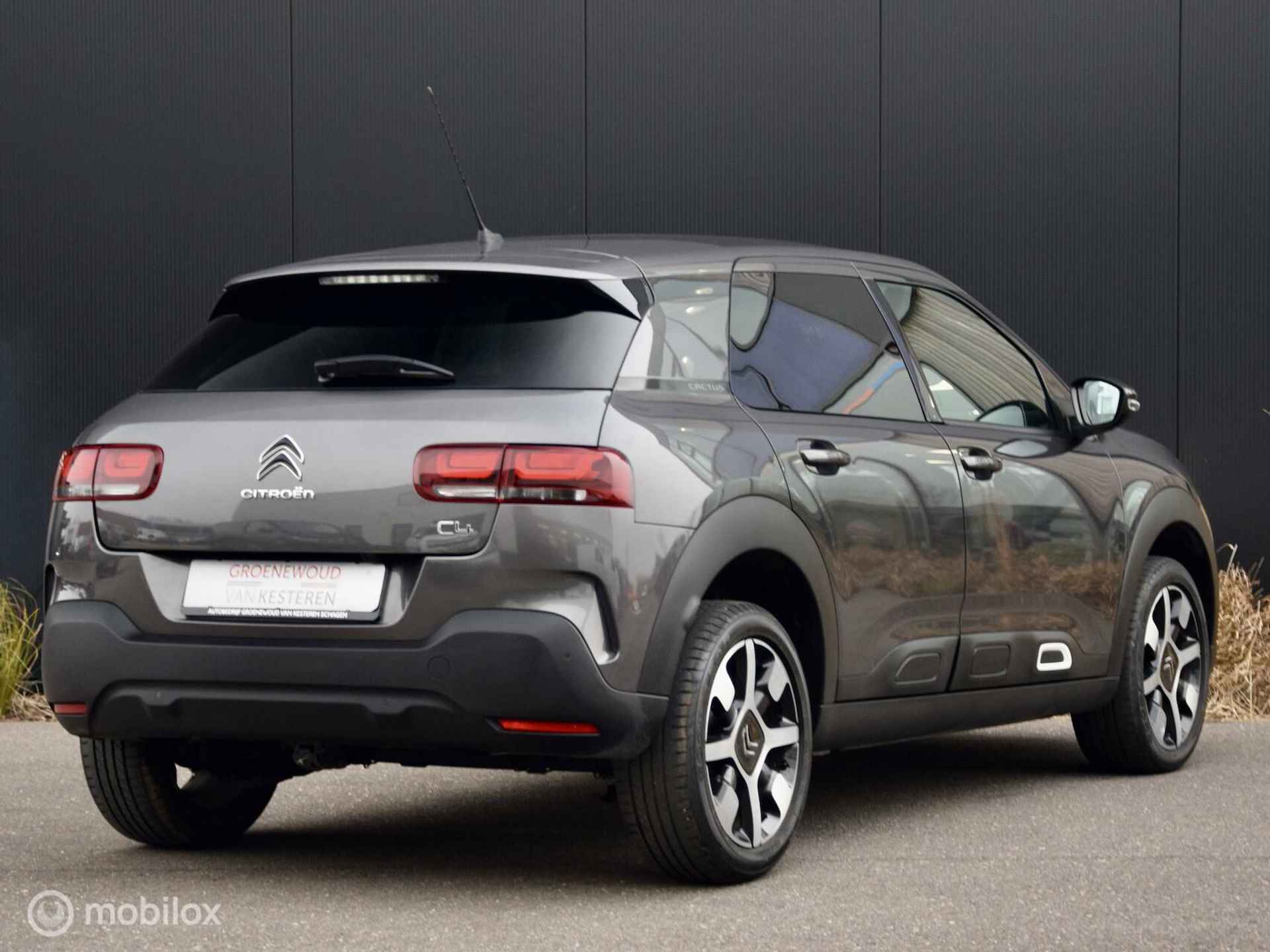 Citroen C4 Cactus 110pk Shine I Automaat I pano I Navi I - 4/29