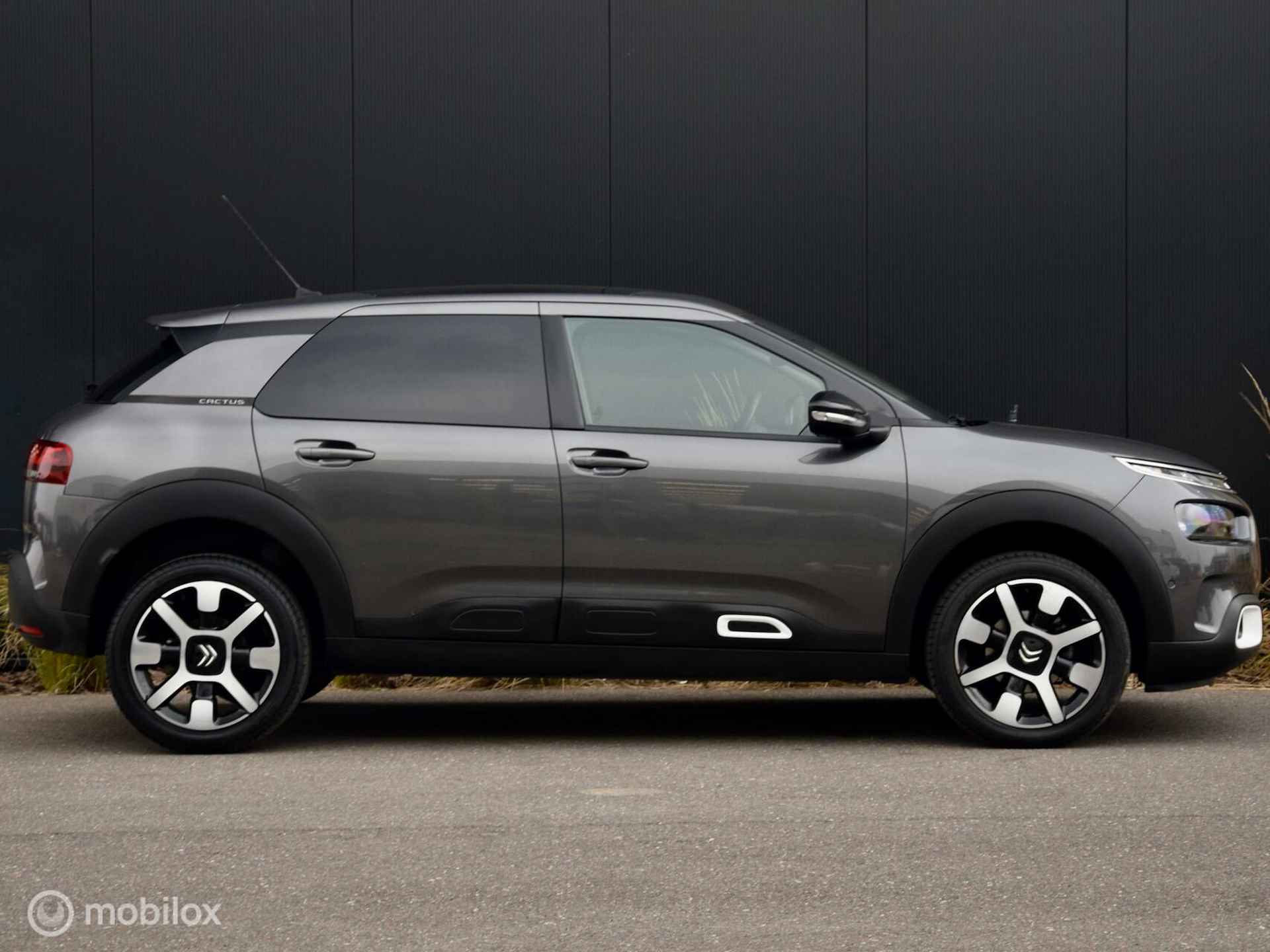 Citroen C4 Cactus 110pk Shine I Automaat I pano I Navi I - 6/29