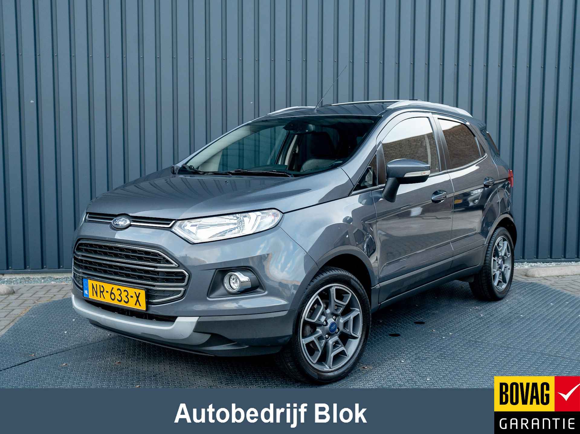 Ford EcoSport BOVAG 40-Puntencheck