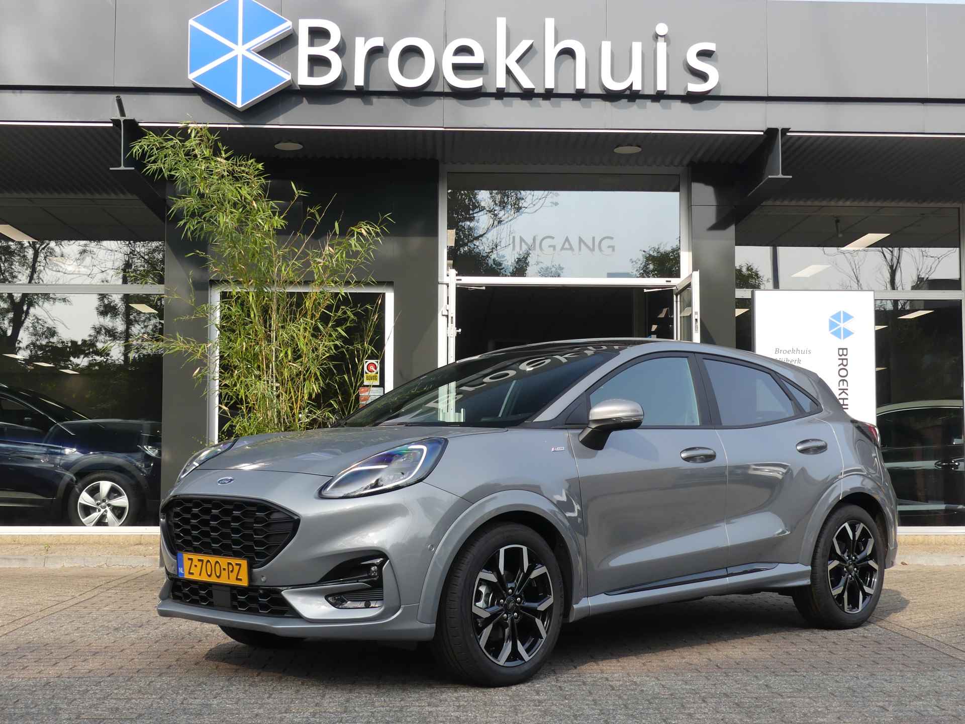 Ford Puma BOVAG 40-Puntencheck