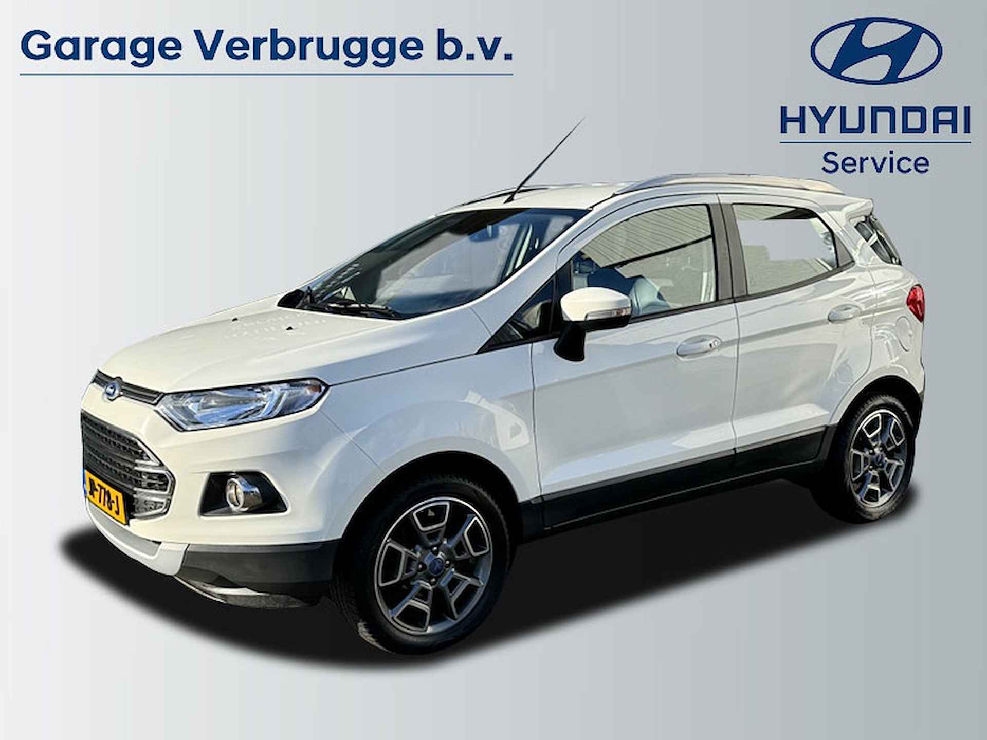 Ford EcoSport BOVAG 40-Puntencheck