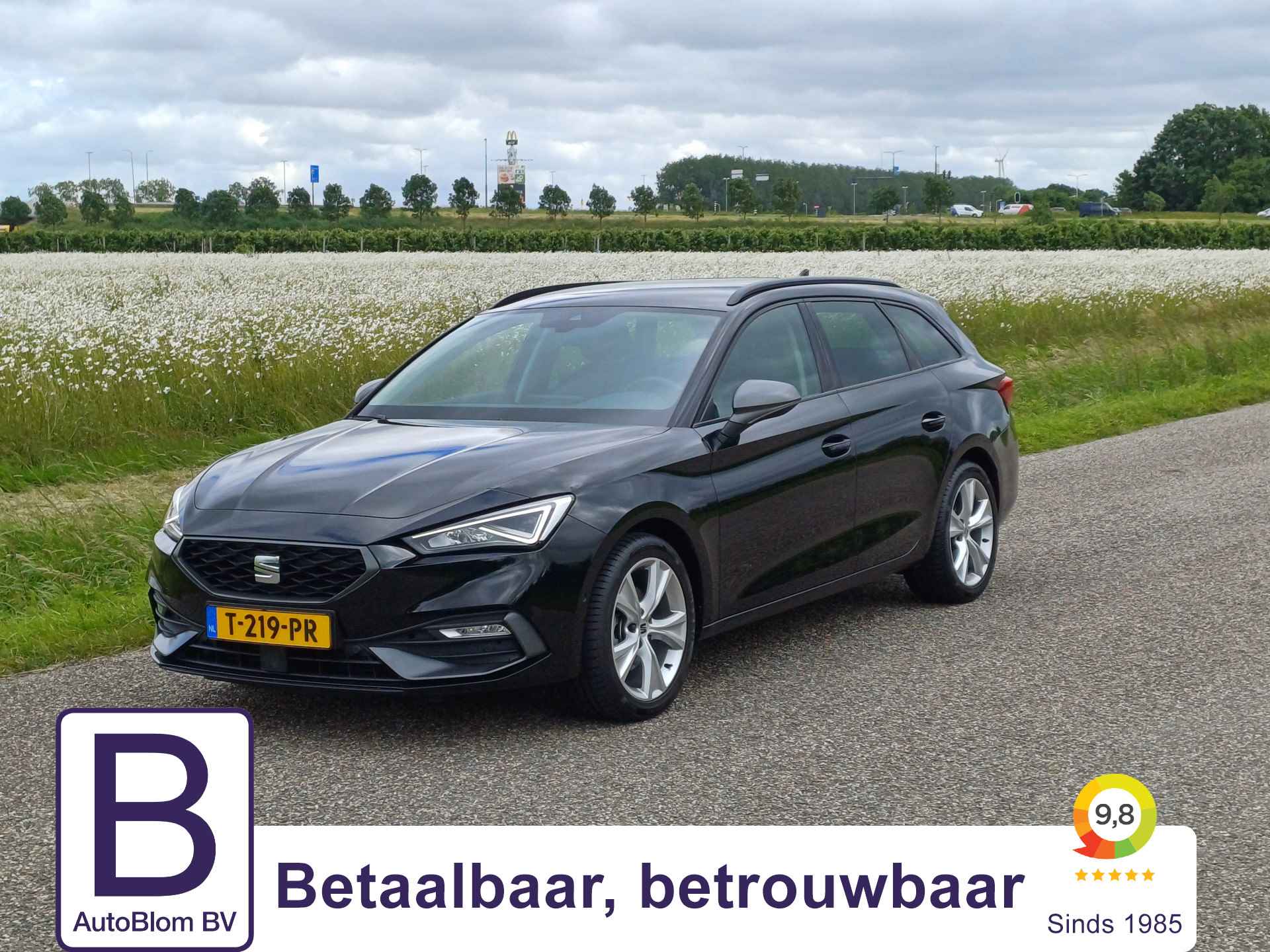 Seat Leon BOVAG 40-Puntencheck