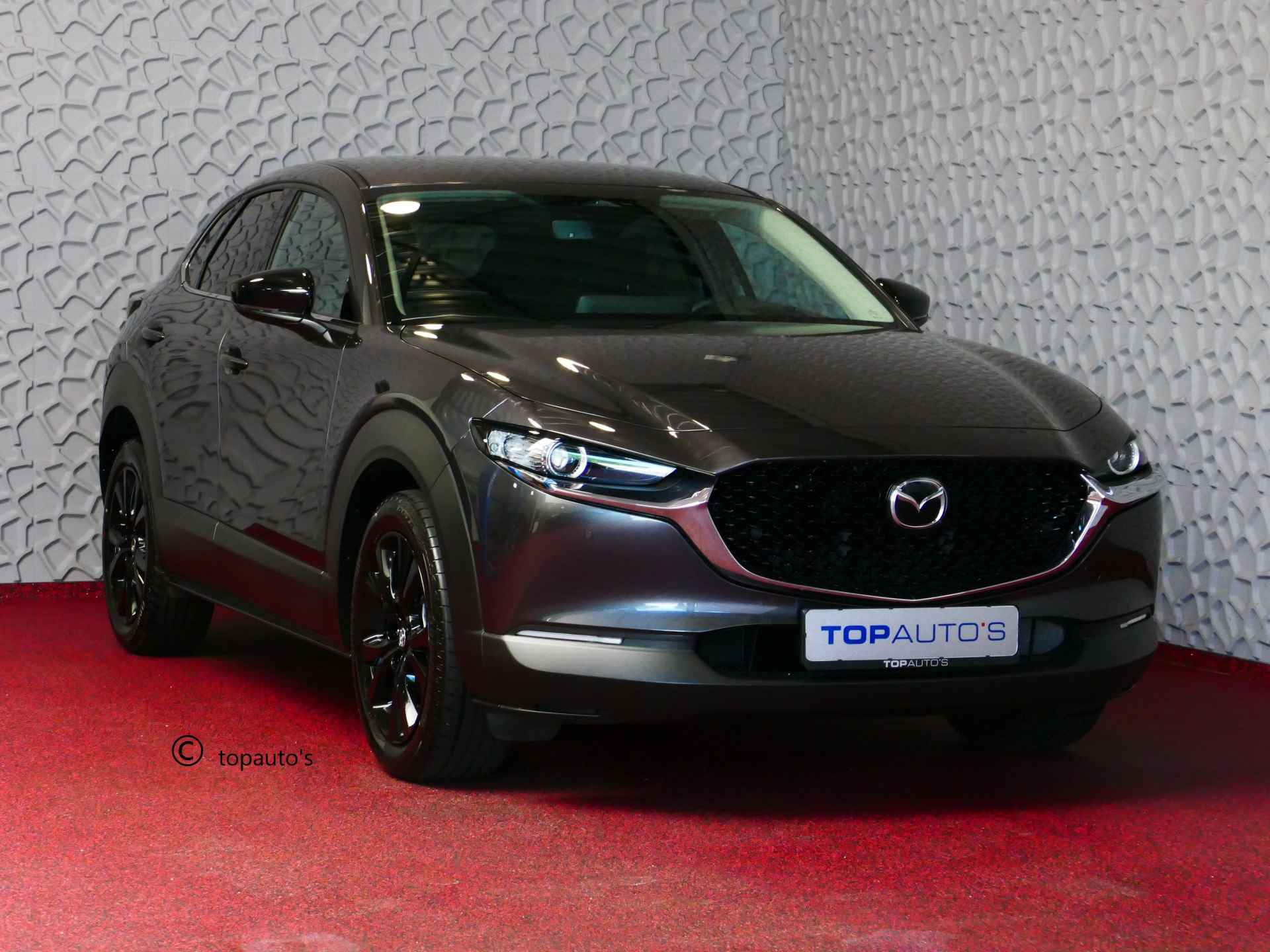 Mazda CX-30 BOVAG 40-Puntencheck