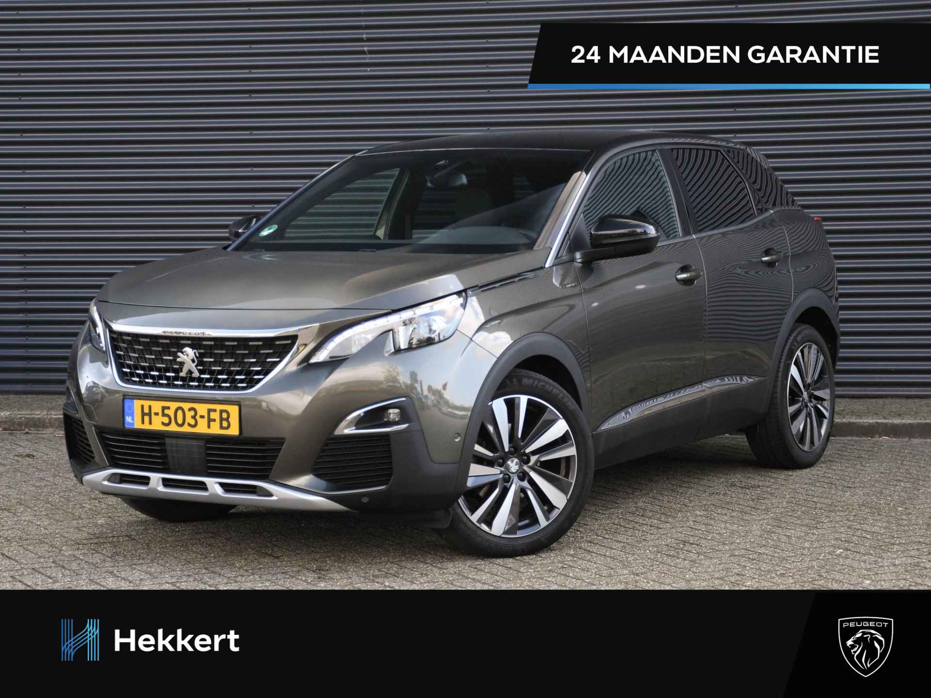 Peugeot 3008 BOVAG 40-Puntencheck