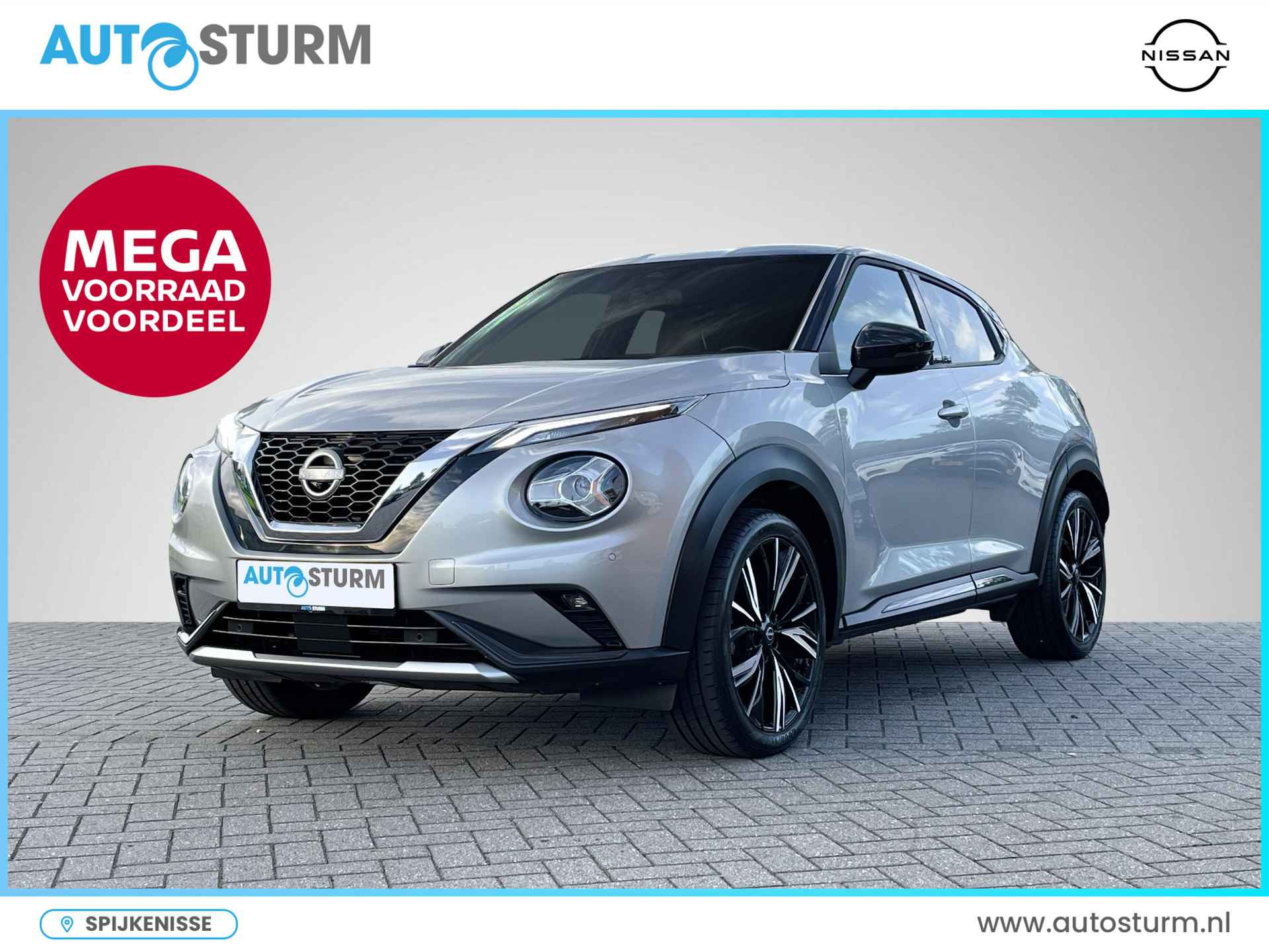 Nissan Juke BOVAG 40-Puntencheck