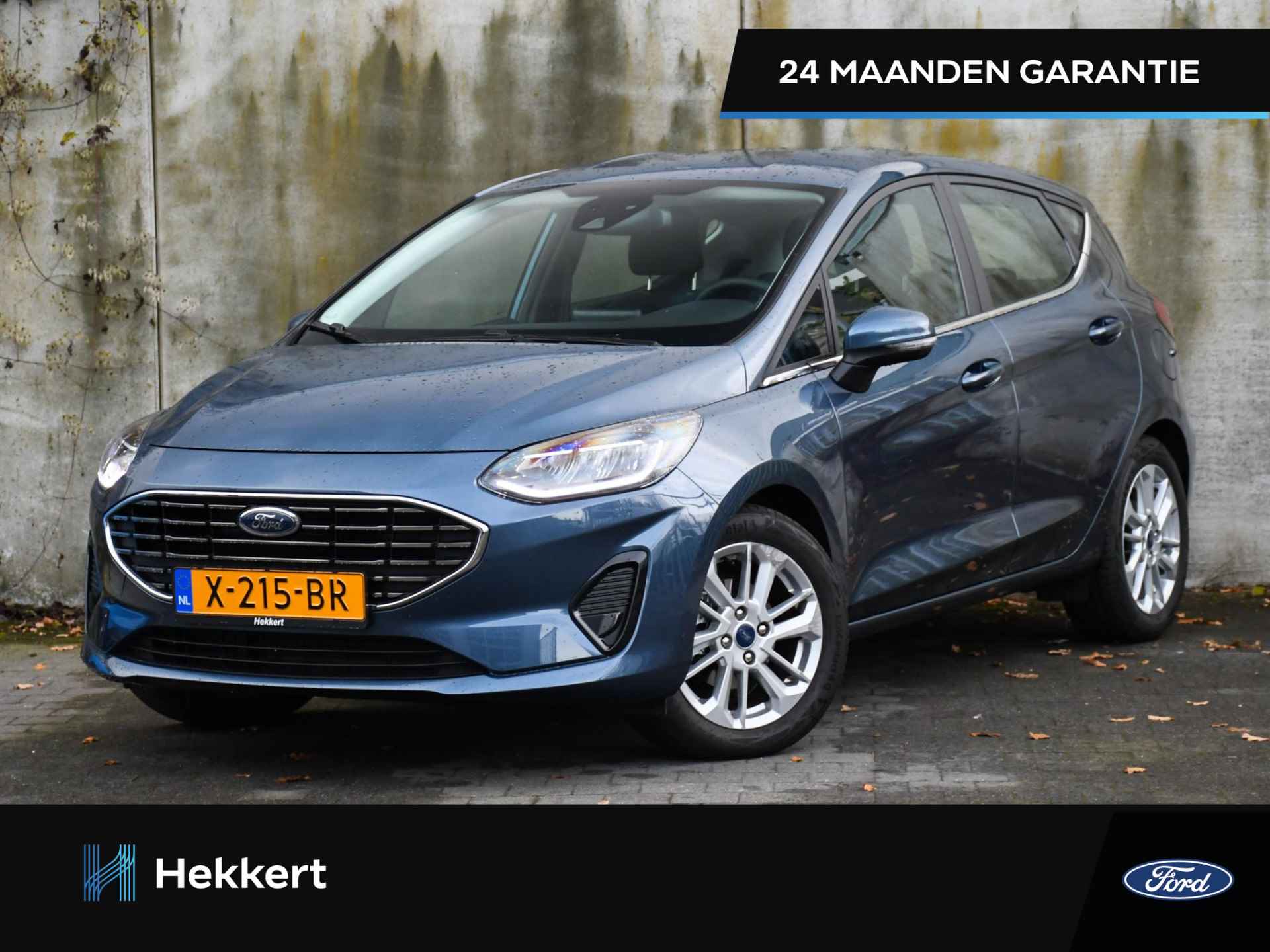 Ford Fiesta BOVAG 40-Puntencheck