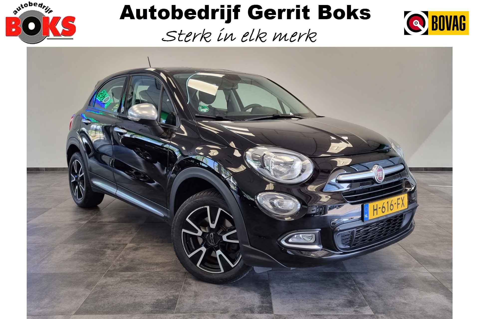 Fiat 500X BOVAG 40-Puntencheck