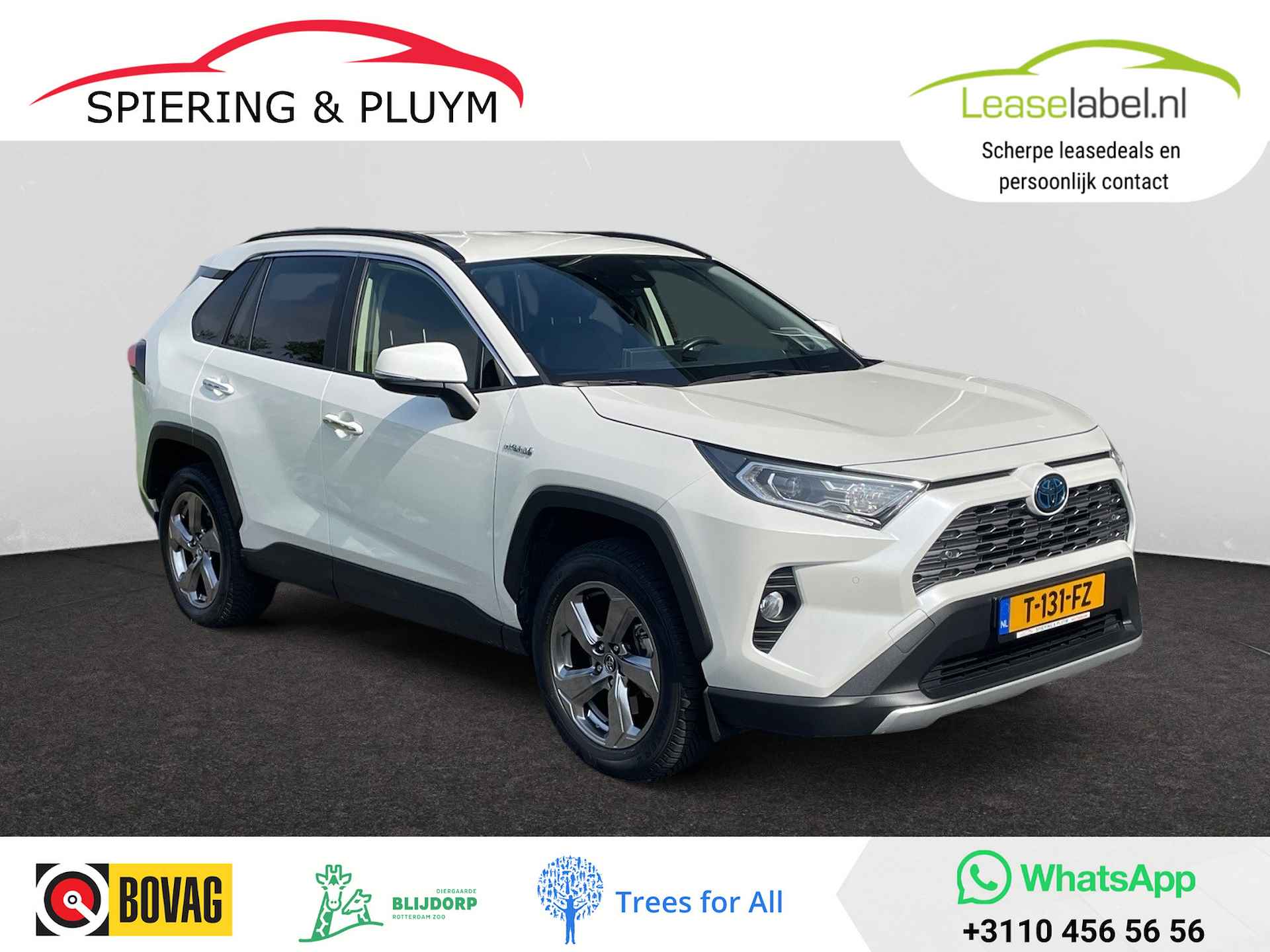 Toyota RAV4 2.5 Hybrid Executive | Leder | JBL | Adaptive Cruise - 1/42