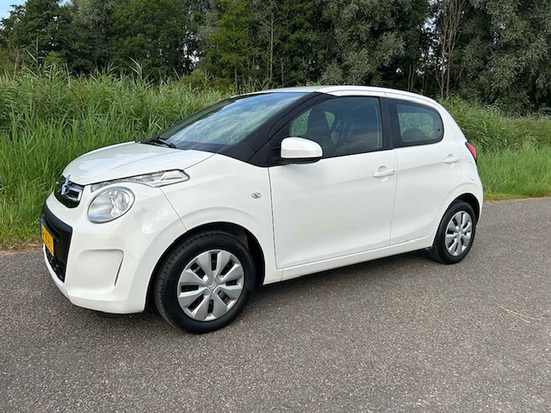 Citroën C1 BOVAG 40-Puntencheck