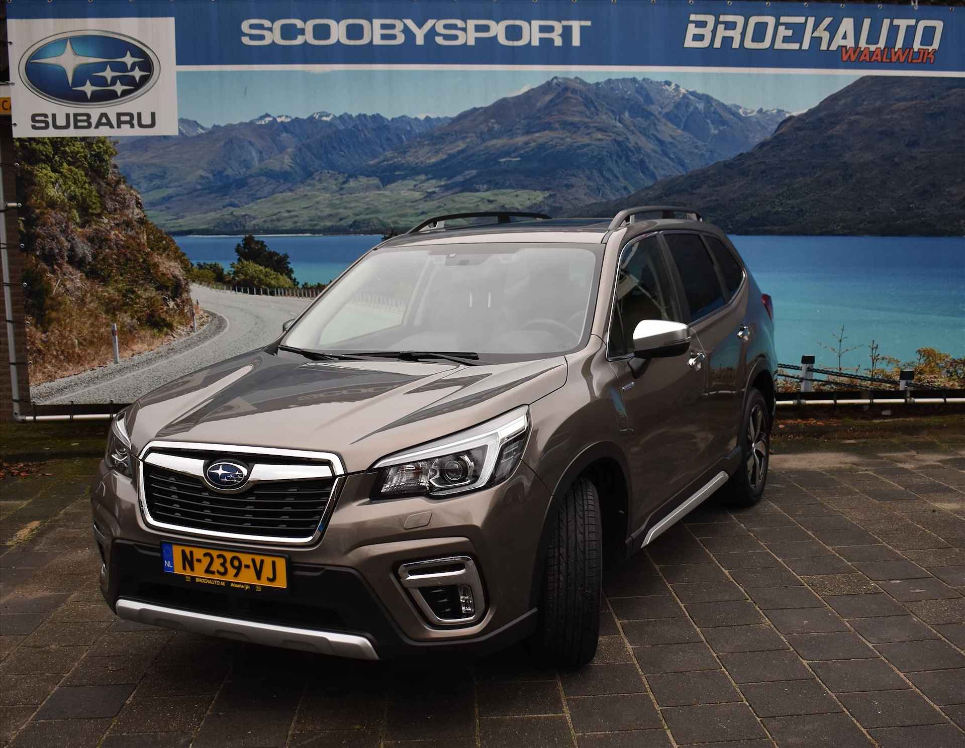 Subaru Forester BOVAG 40-Puntencheck