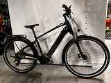 Cannondale Tesoro Neo X 625wh Heren Mantis LG LG 2024