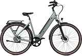 Huyser Q bike D53 Mouse Grey Matt Dames Matt Grey 53cm 2024