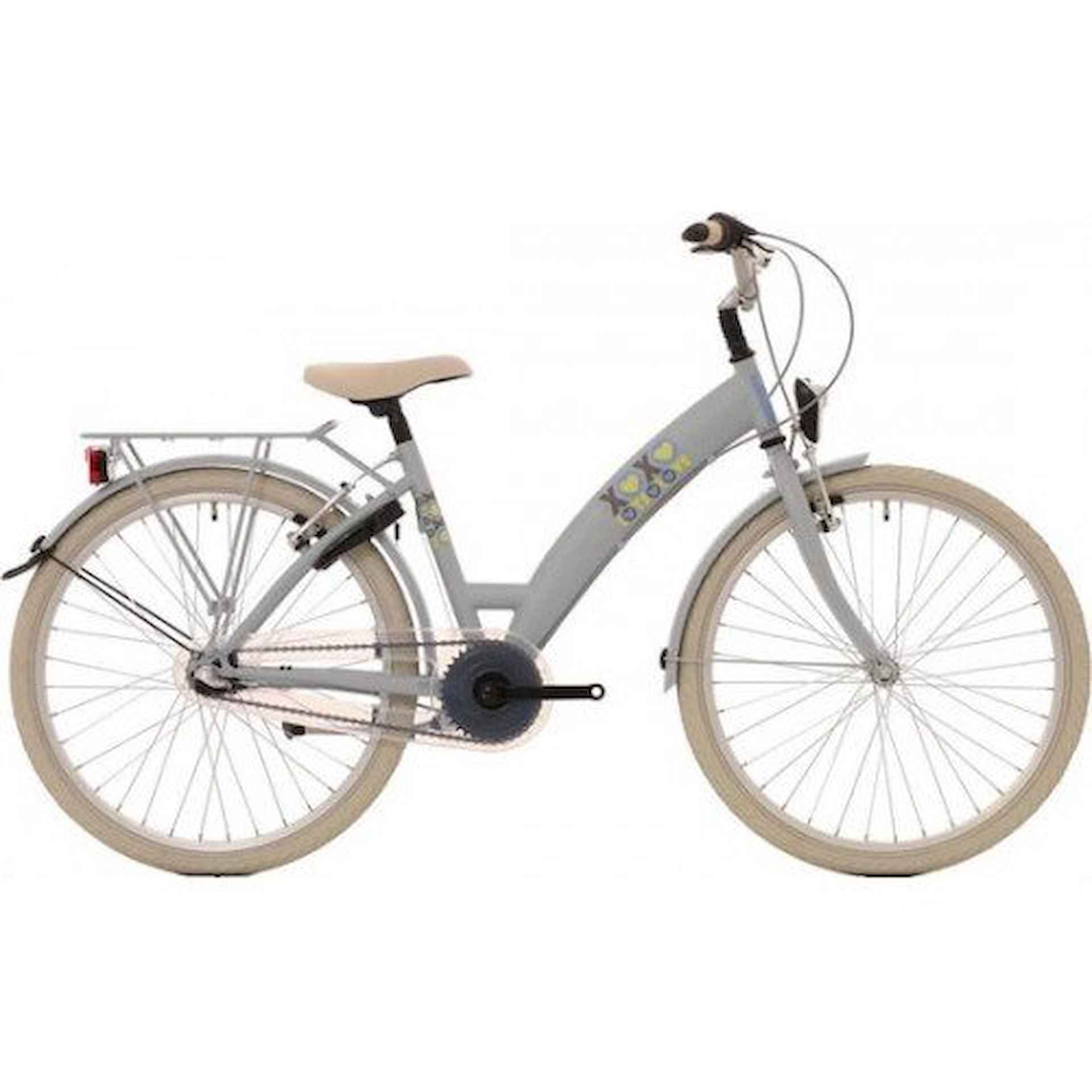 Bike Fun 26 Lot 25 Meisjes Matt Grey 26cm 2024 - 1/1