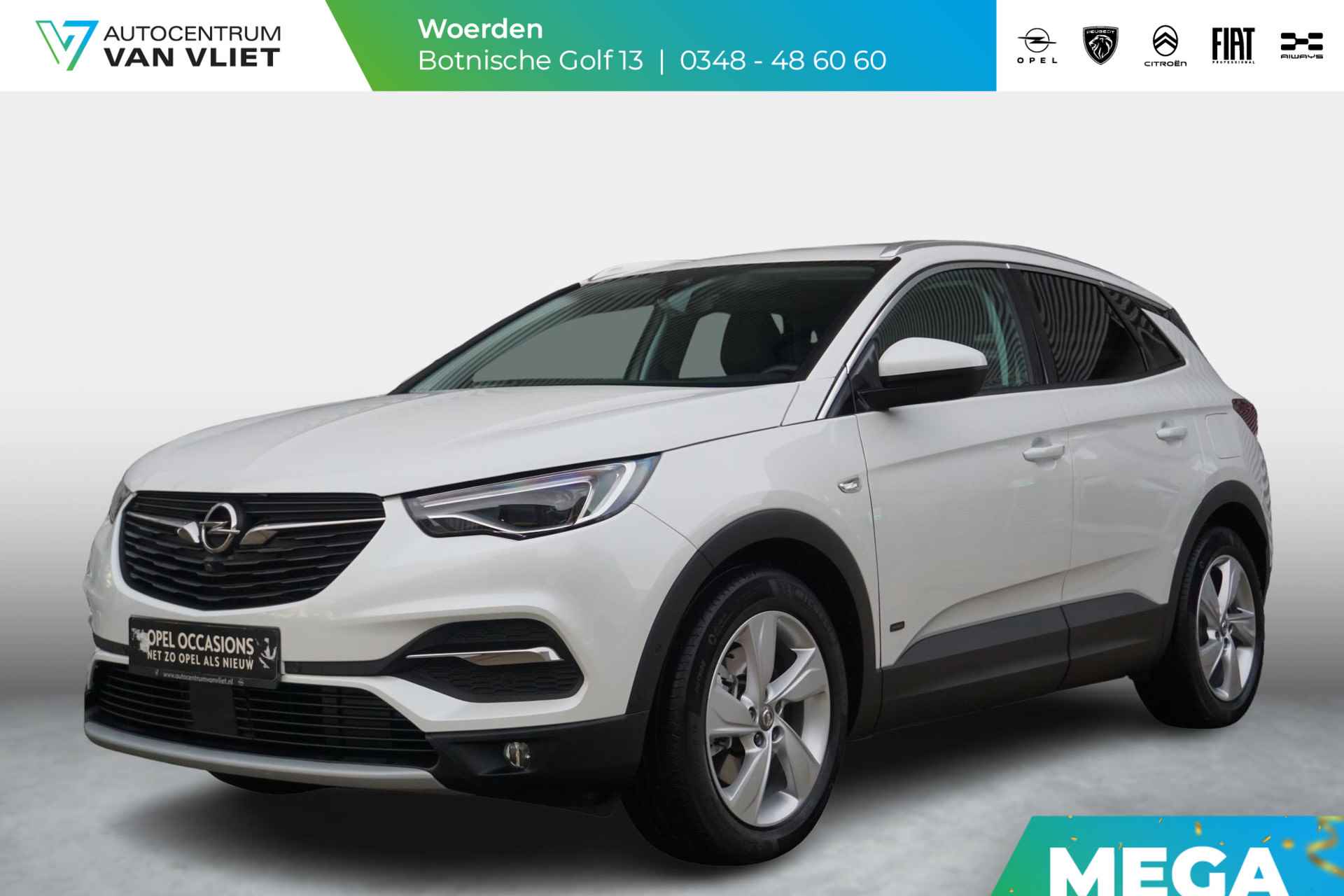 Opel Grandland X BOVAG 40-Puntencheck