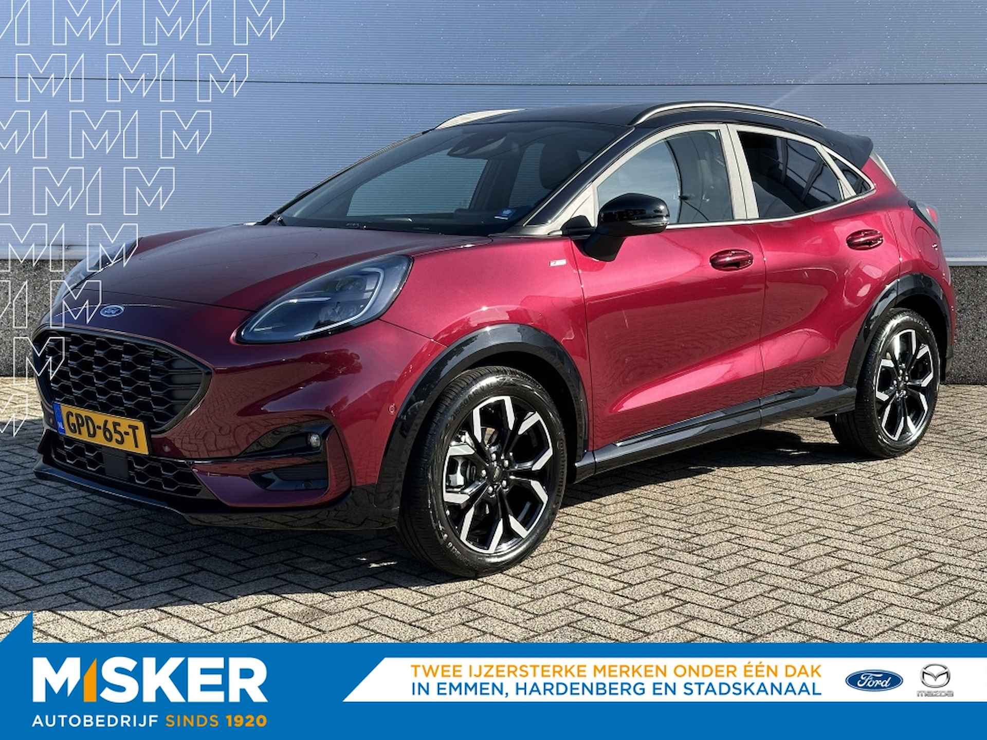 Ford Puma BOVAG 40-Puntencheck