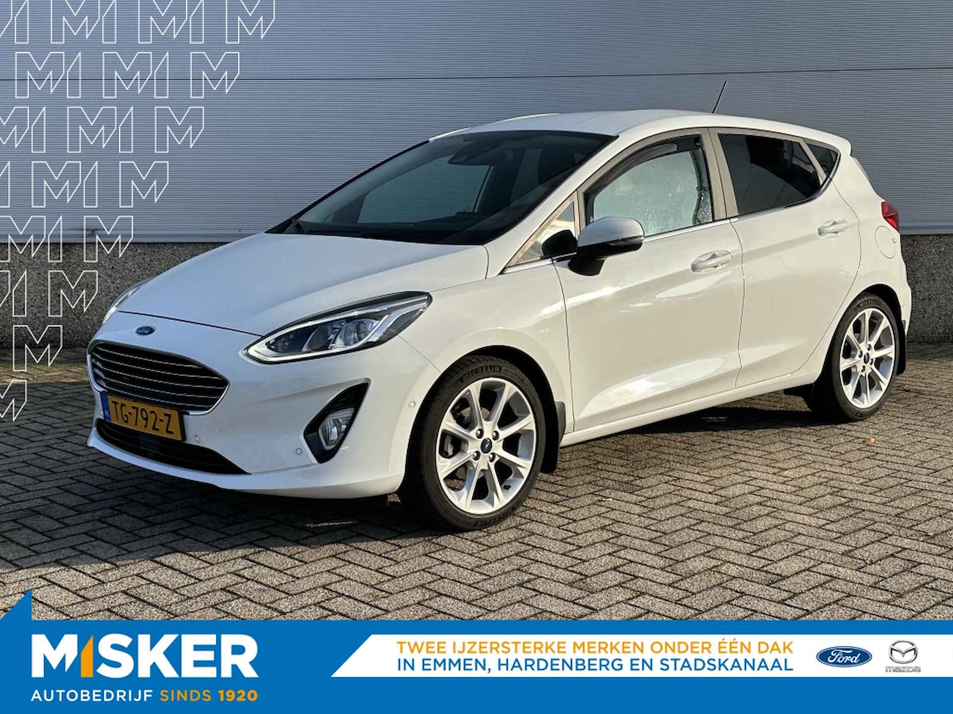 Ford Fiesta BOVAG 40-Puntencheck