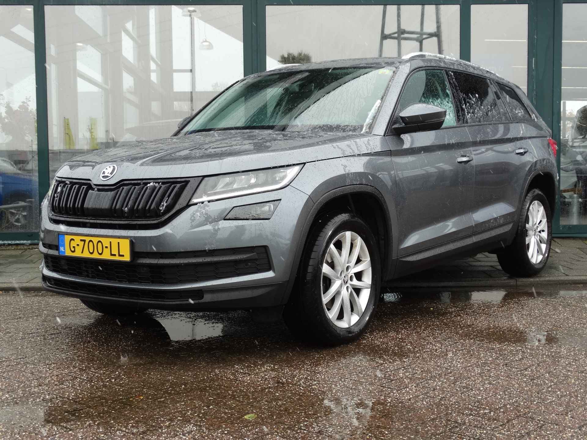 Škoda Kodiaq BOVAG 40-Puntencheck