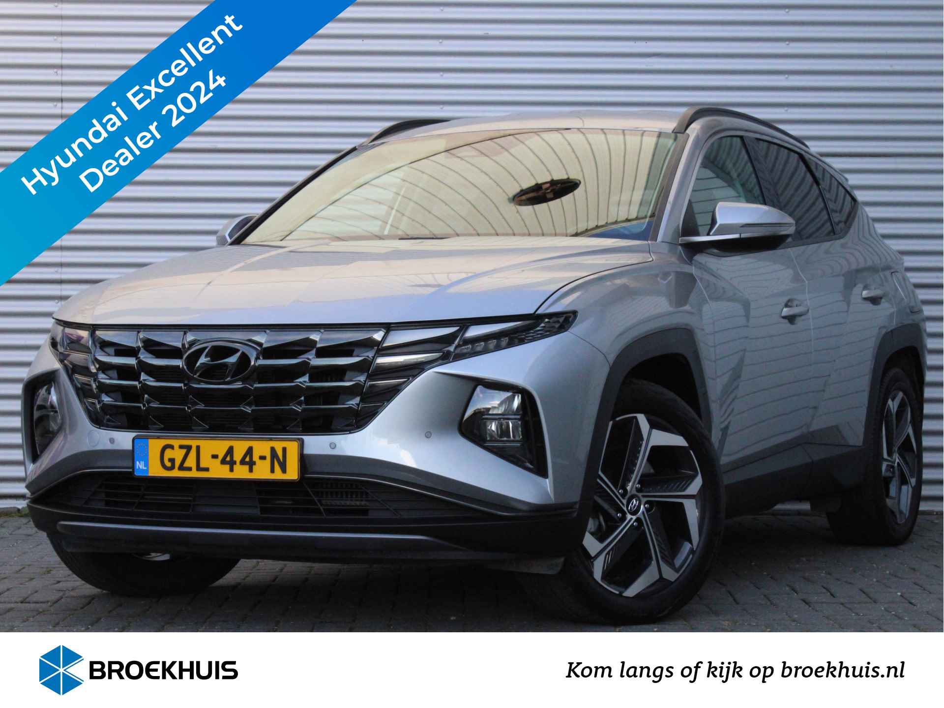 Hyundai Tucson BOVAG 40-Puntencheck