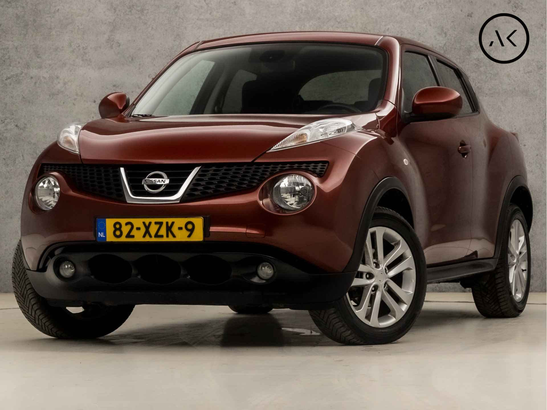 Nissan Juke BOVAG 40-Puntencheck