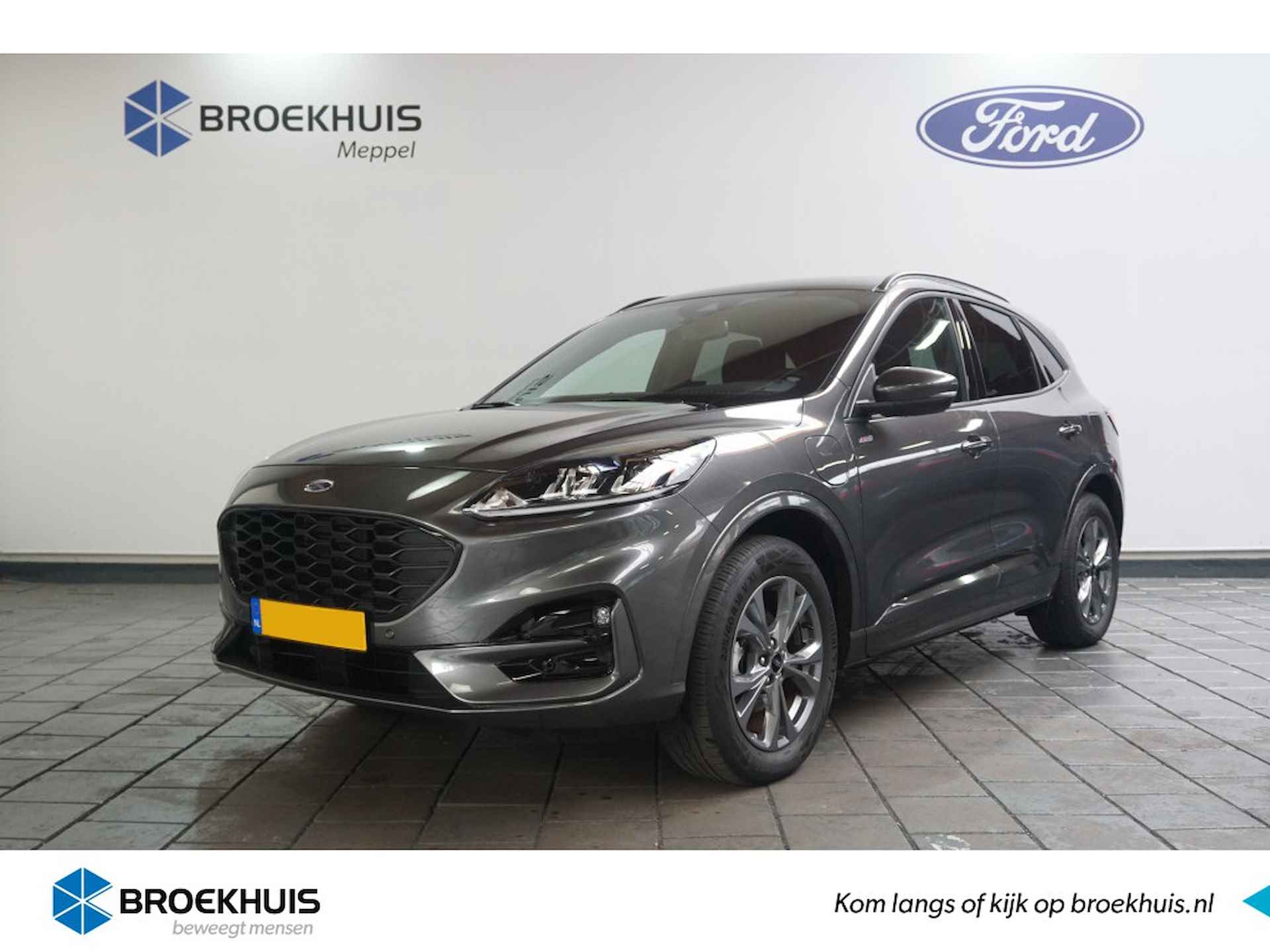 Ford Kuga BOVAG 40-Puntencheck