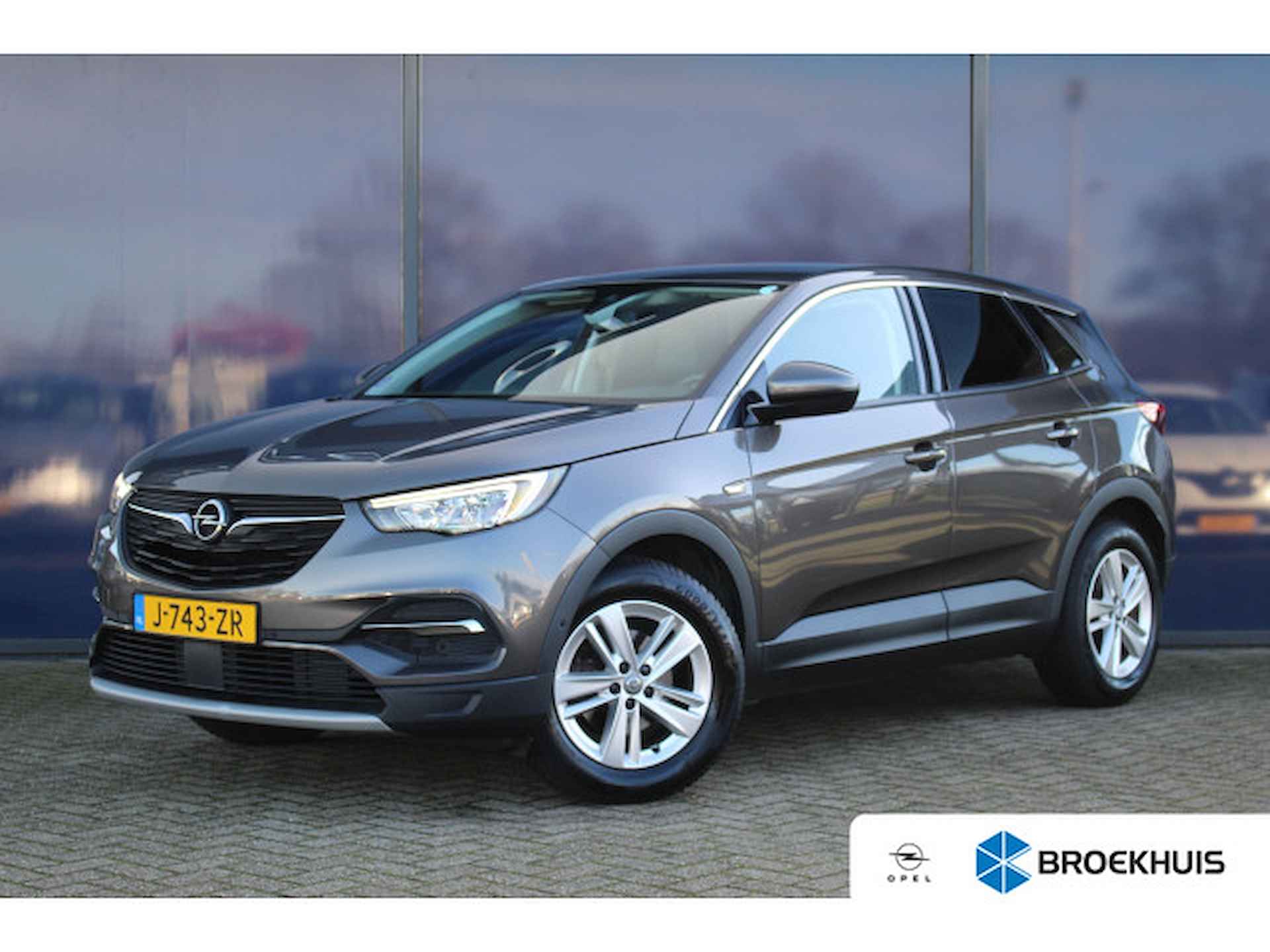 Opel Grandland X BOVAG 40-Puntencheck