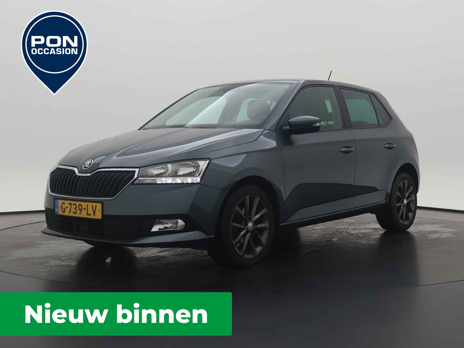 Škoda Fabia BOVAG 40-Puntencheck